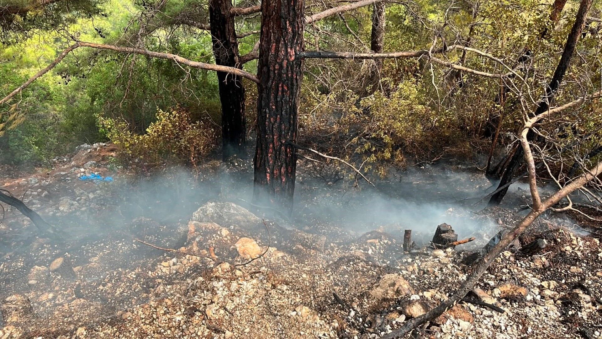 Antalya’da Yürekler Ağza Geldi Korkulan Olmadı (1)