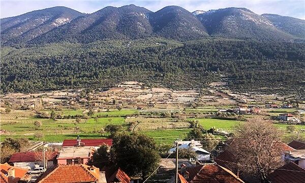 Antalya’da Zeytinlikler Kıskaç Altında! Bölge Sakinleri Karara Isyan Etti (3)