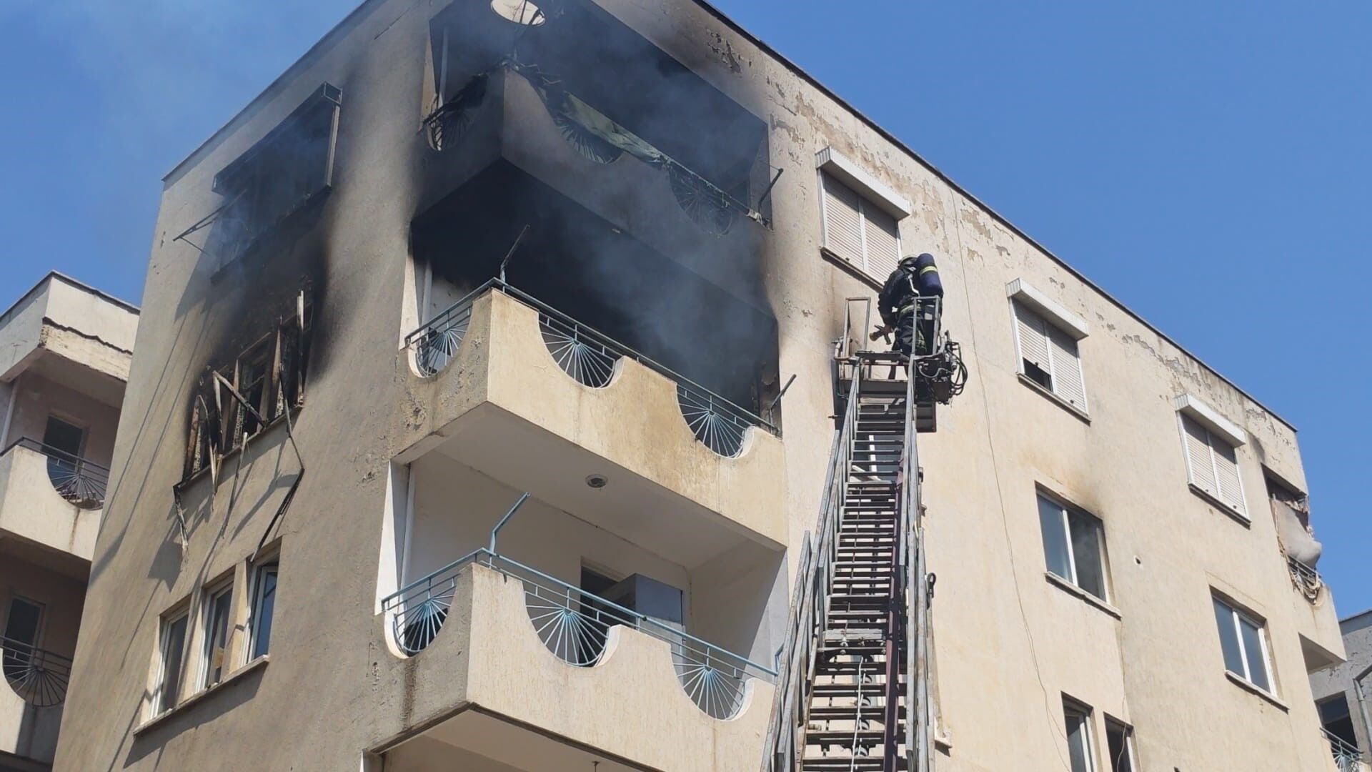 Antalya’daki Yangında Hamile Kedinin Kahramanı Itfaiye Oldu (3)