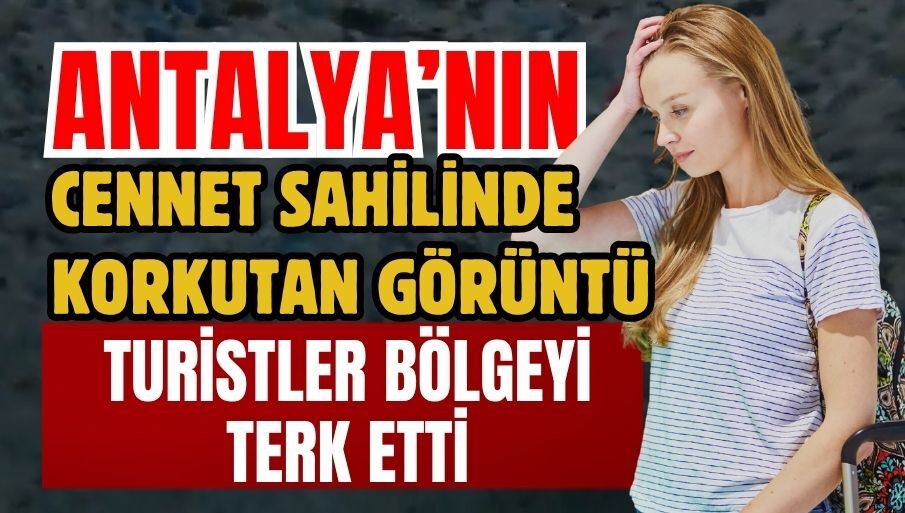 Antalya’nın cennet sahilinde korkutan görüntü! Turistler bölgeyi terk etti