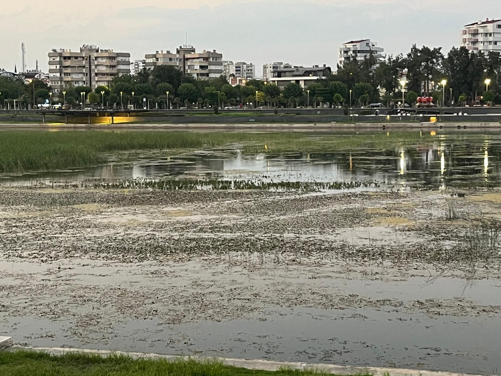 Antalya’nın Göbeğinde Bataklık (3)