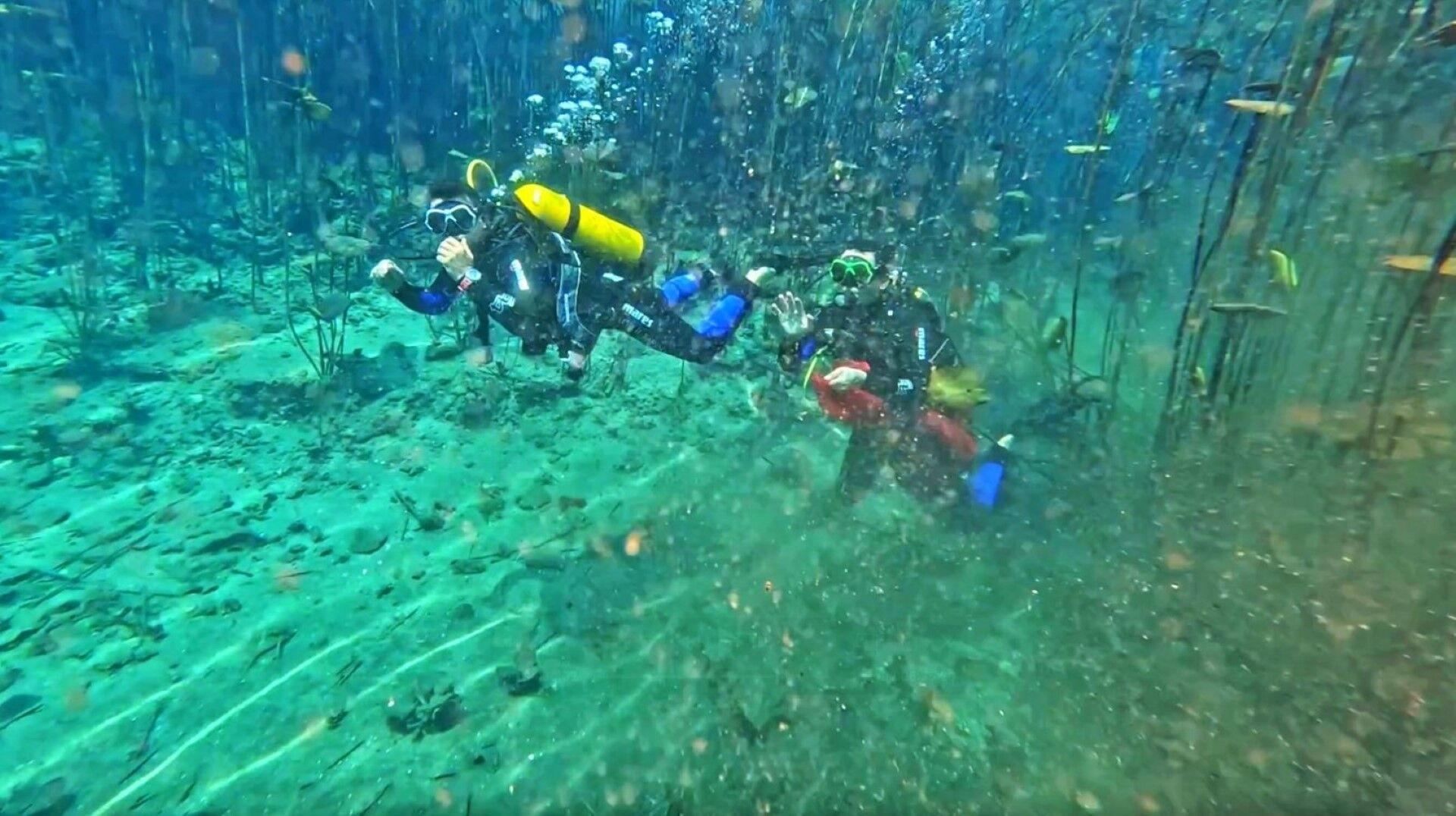 Antalya'nın Içme Su Kaynağında 'Olmaz Bu Kadar 'Dedirten Görüntüler (7)