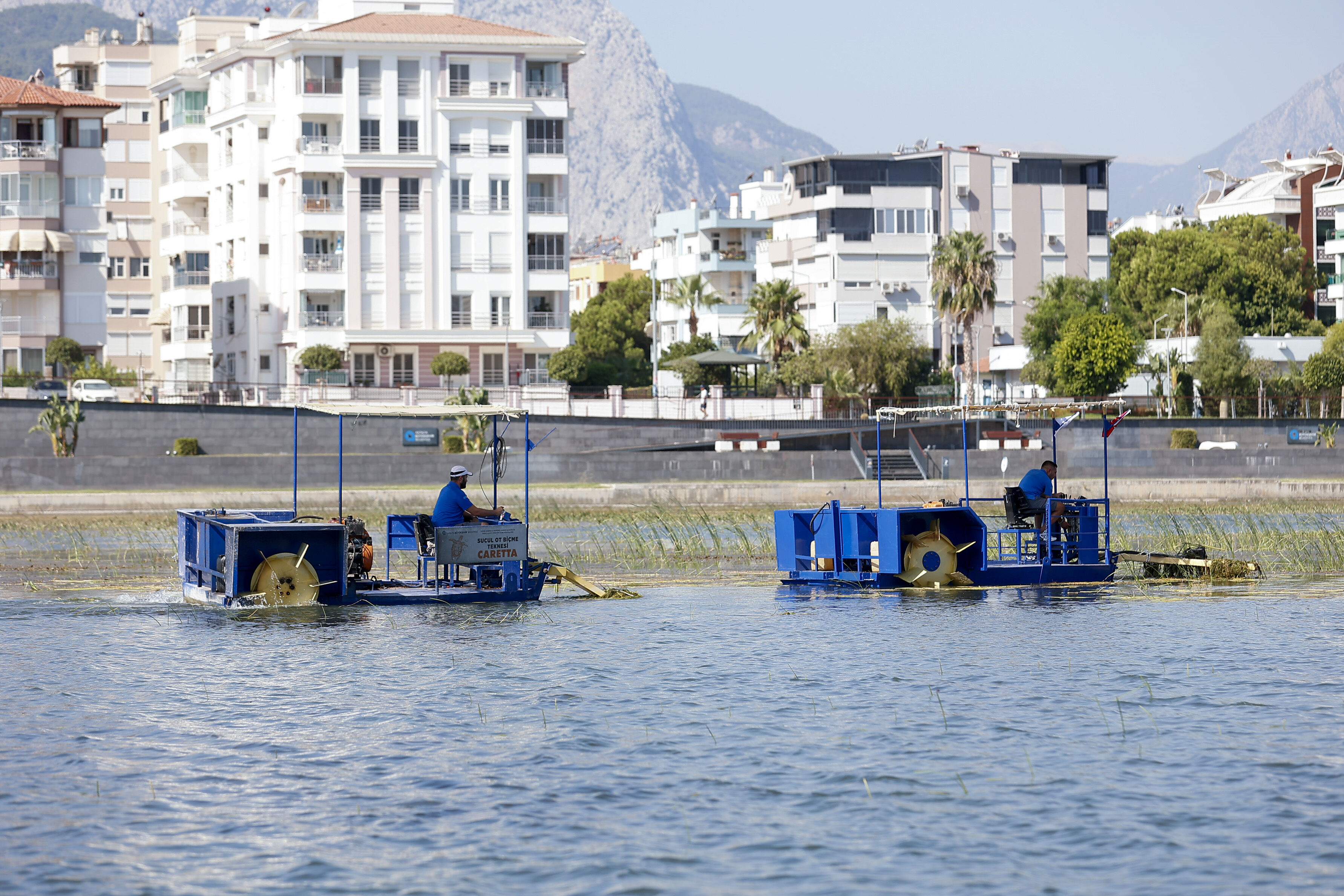 Antalya’nın Ortasındaki Bataklığa ‘Yengeçli’ Müdahale (2)