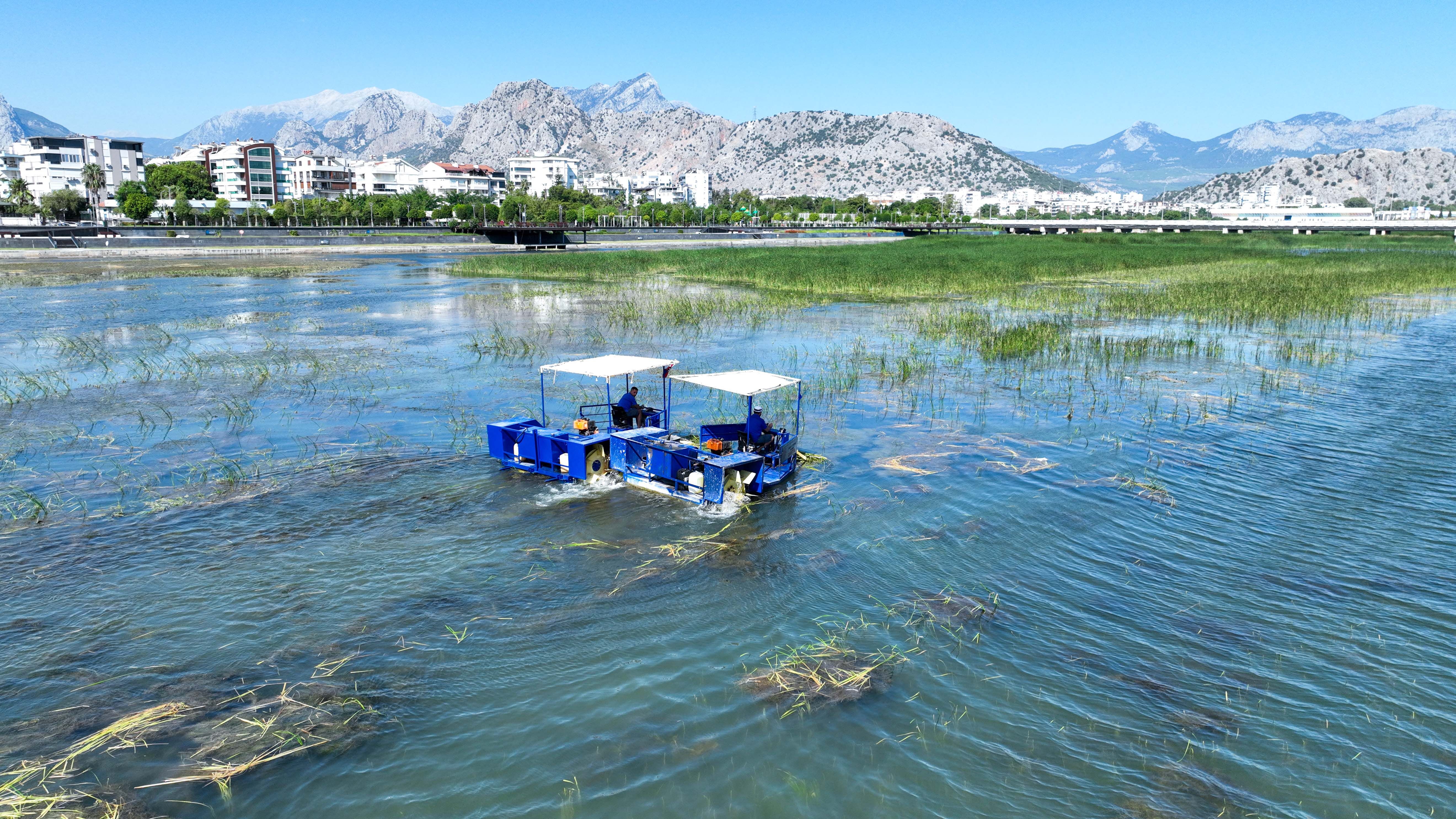 Antalya’nın Ortasındaki Bataklığa ‘Yengeçli’ Müdahale (3)