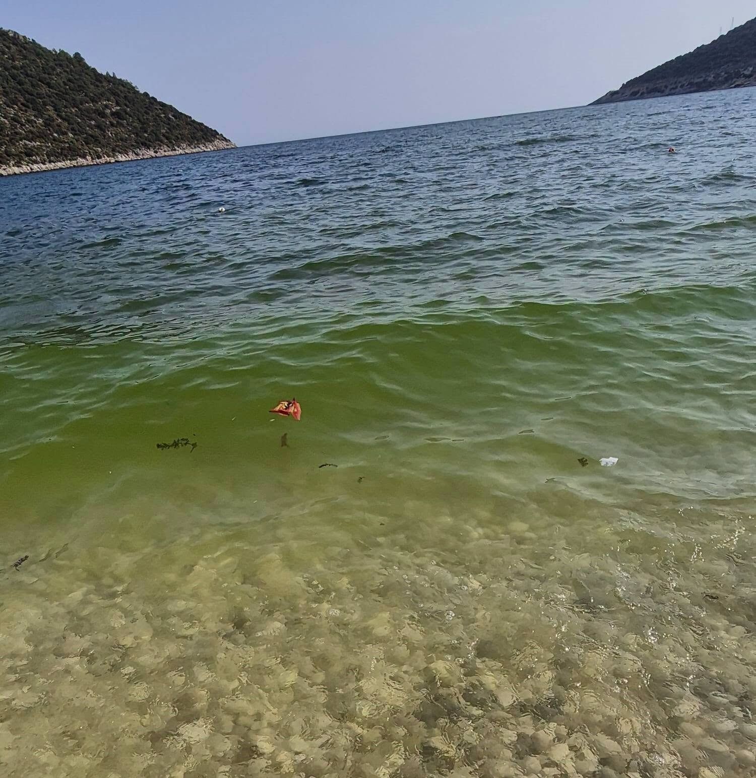 Antalya’nın Sahilinde Ürküten Görüntüler! Deniz Renk Değiştirdi (4)