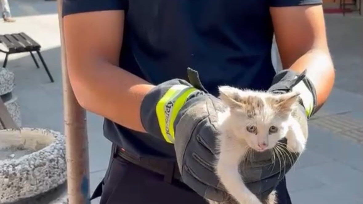 Burdur'da Hayat Kurtaran Not! Motora Giren Yavru Kedi Kurtarıldı (2)
