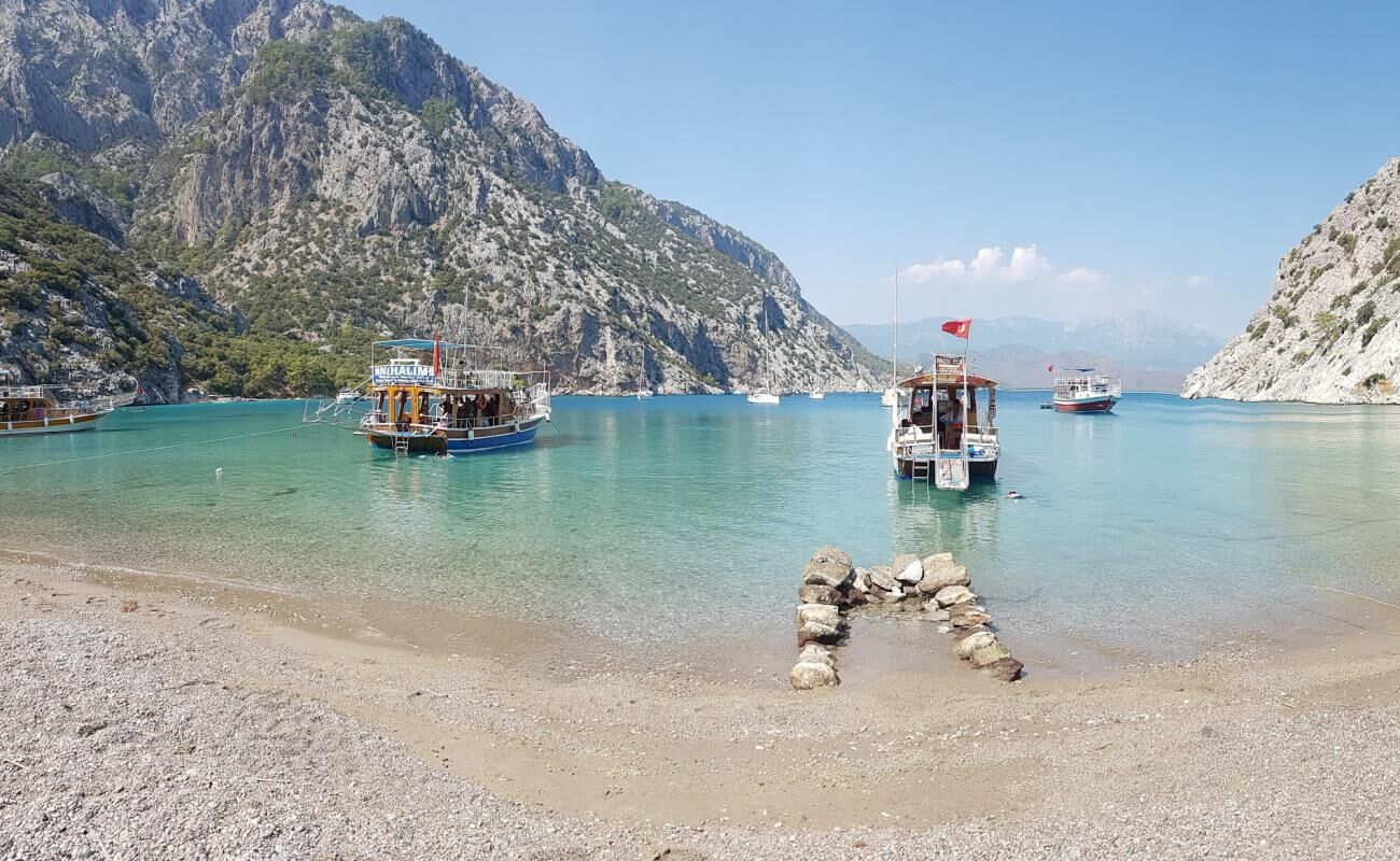 Ceneviz Koyu-1