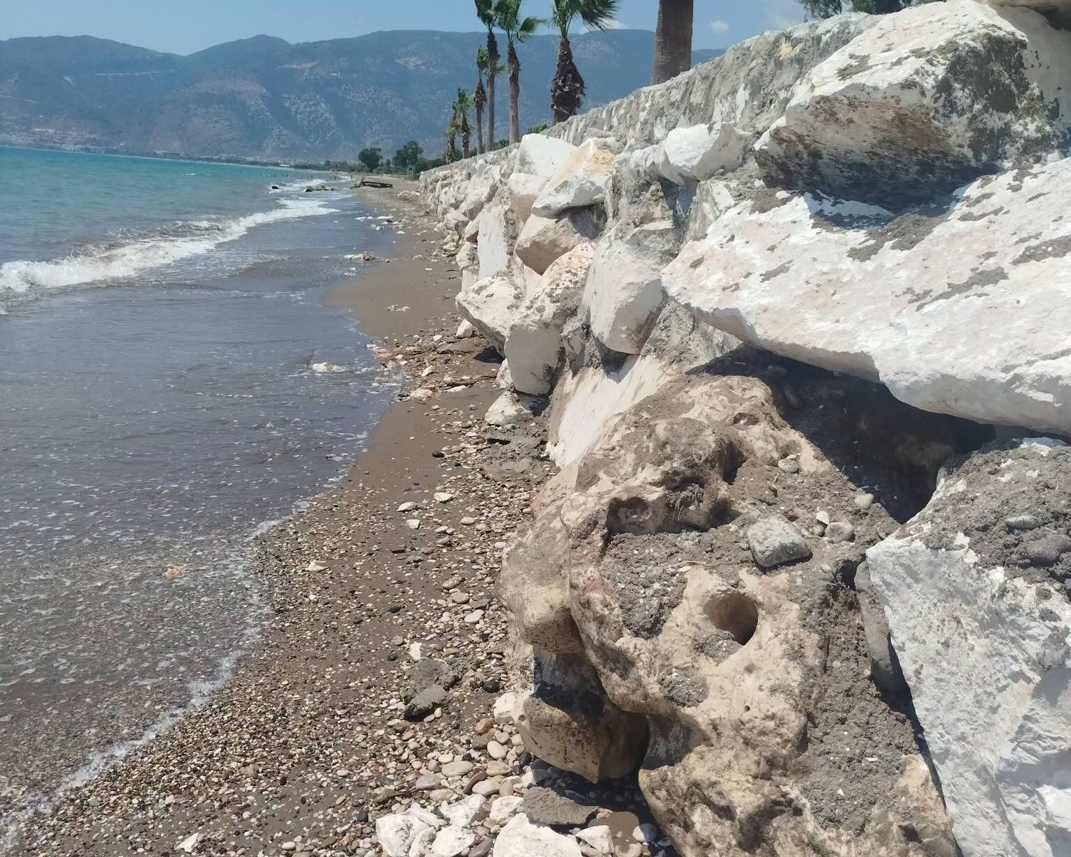 Finike Sahili’nde Tepki Çeken Uygulama! Carettaların Yuvasına Duvar Örüldü (6)