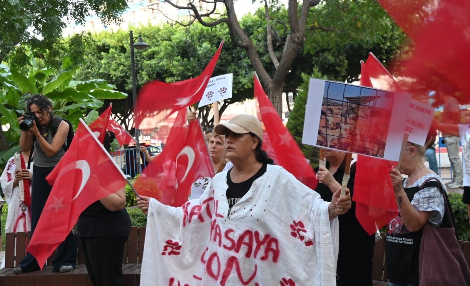 Hayvansever Eylem