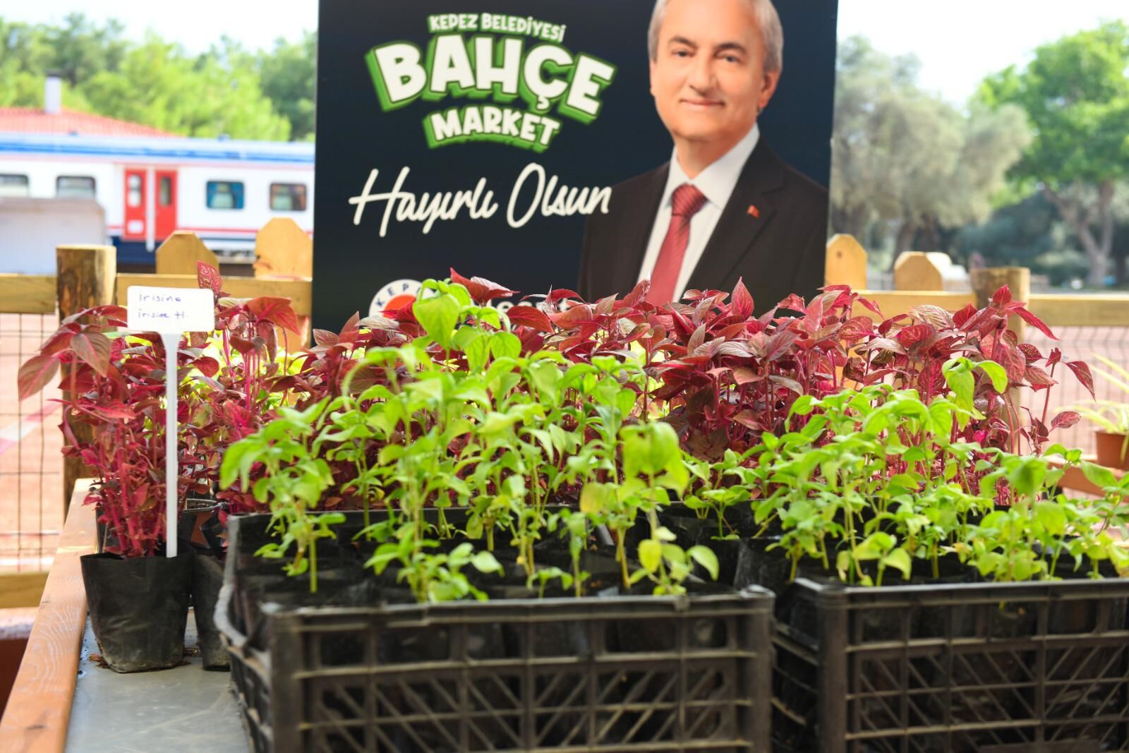 Kepez Belediyesi’nin Marketi Kapılarını Açıyor (3)