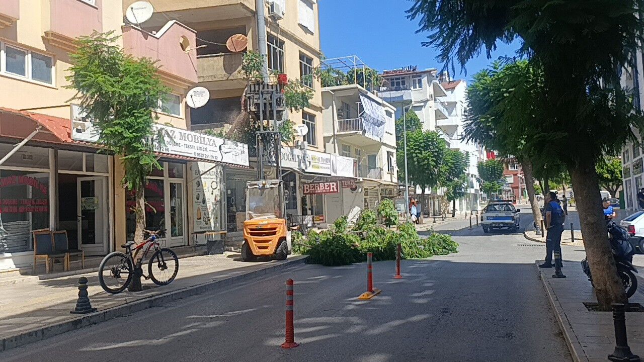 Manavgat’ta Fırtınanın Devirdiği Ağaç Yolu Trafiğe Kapattı (3)