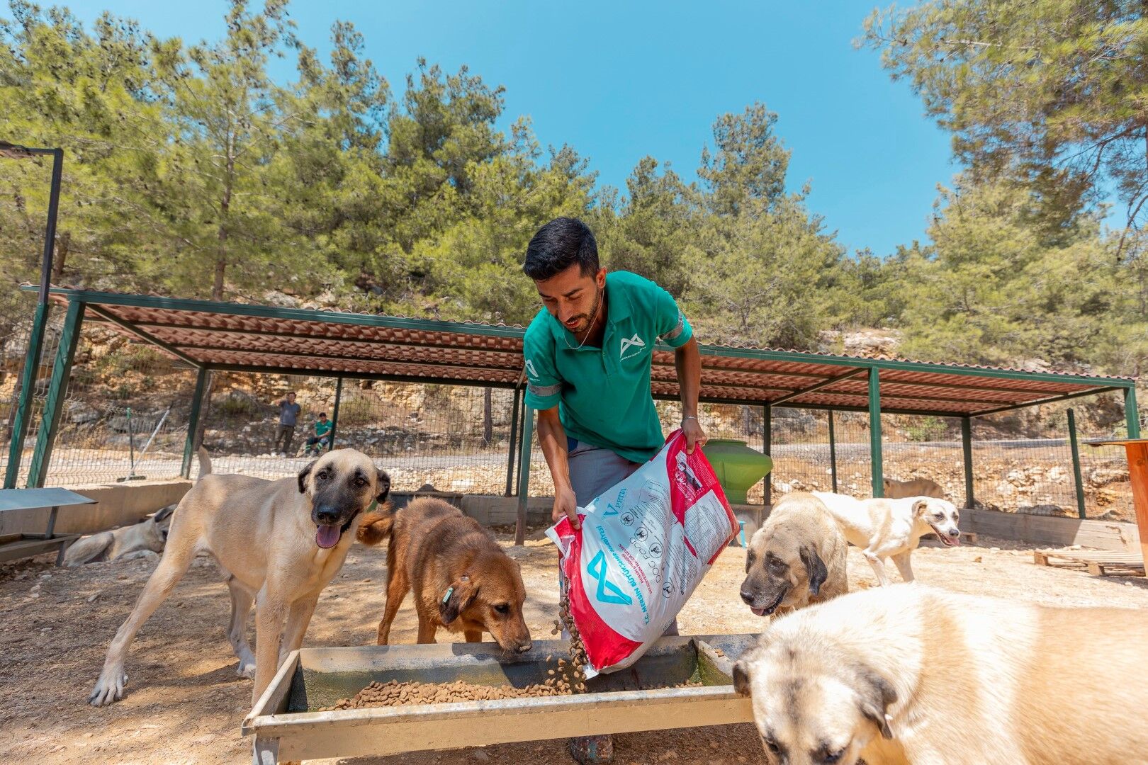 Mersin Büyükşehir Belediyesi 3 Bin 295 Hayvanın Canını Kurtardı (4)
