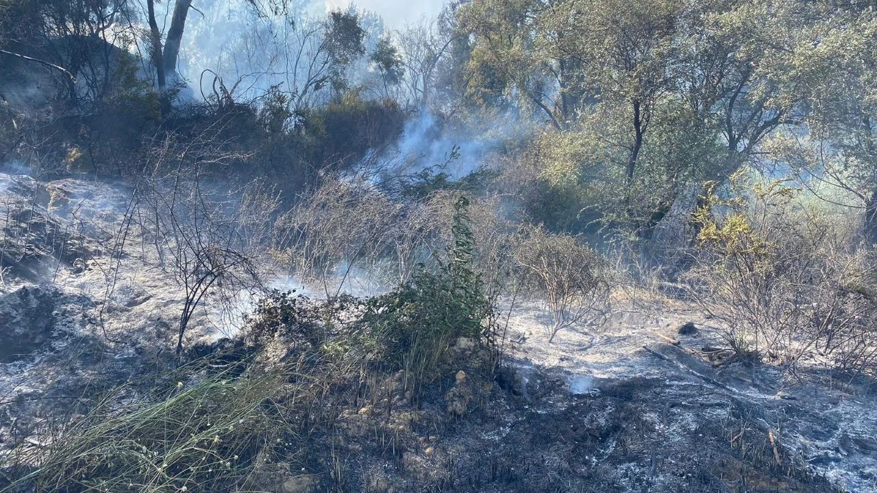 Yangın Tehlikesi Nedeniyle Antalya’da Elektrikler Kesildi (1)-2