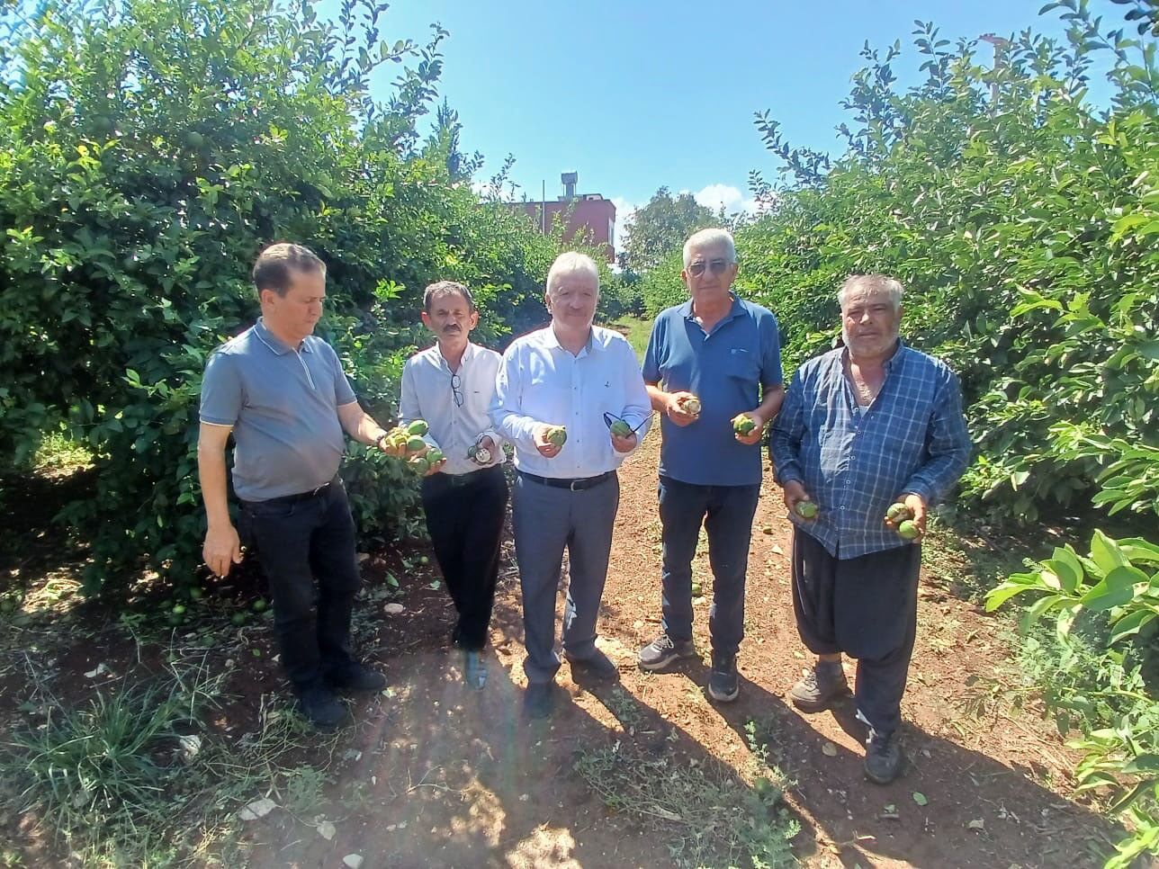 Adana’da yaklaşık 35 bin dönüm tarım alanı zarar gördü