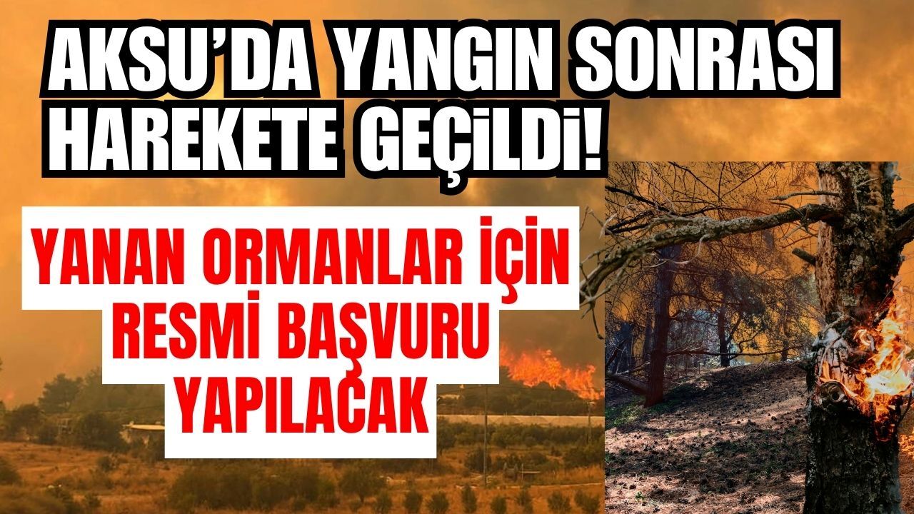 Aksu’da yangın sonrası harekete geçildi! Yanan ormanlar için resmi başvuru yapılacak