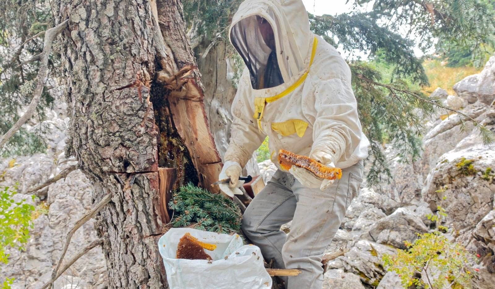 Antalya’da Bal Dedektifleri Hazine Peşinde (2)