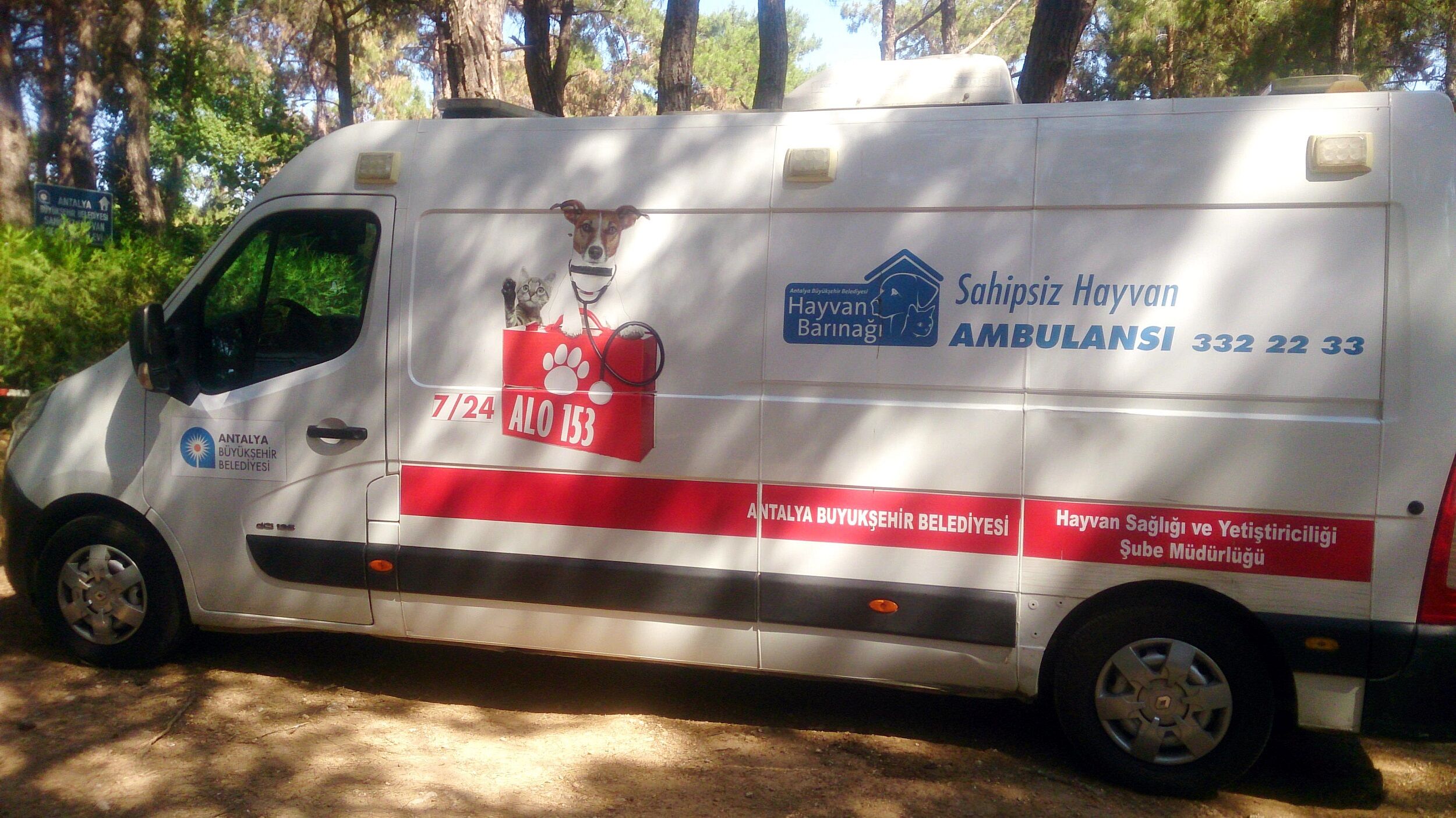 Antalyada Hayvan Ambulansi Nasil Cagirilir (1)