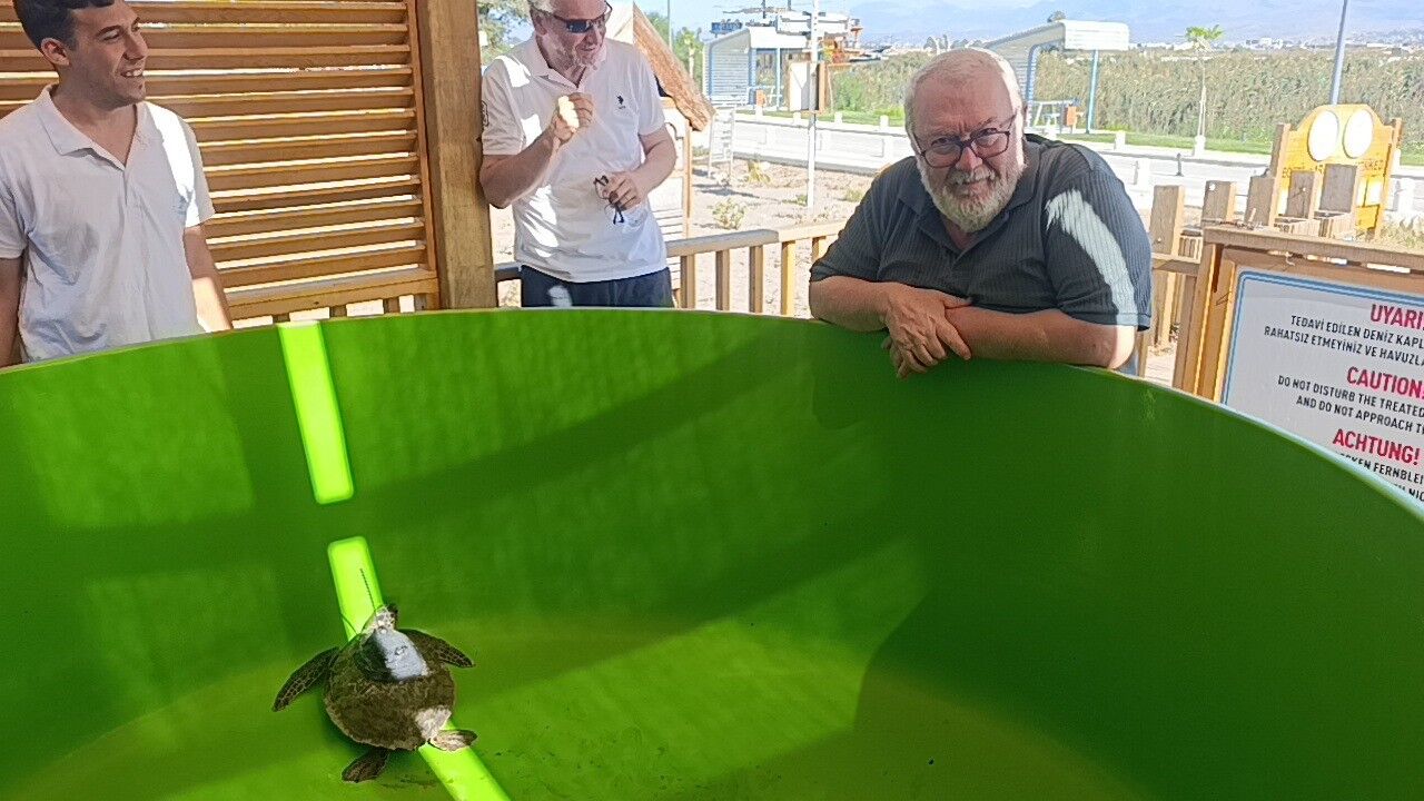 Antalya’da Iki Yeşil Deniz Kaplumbağasının Rotası Uyduyla Izlenecek (2)