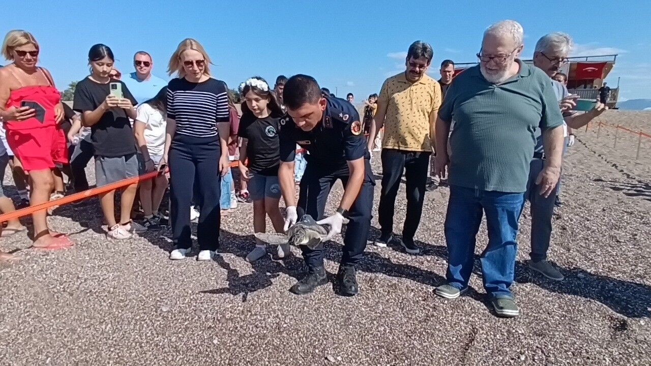 Antalya’da Iki Yeşil Deniz Kaplumbağasının Rotası Uyduyla Izlenecek (6)