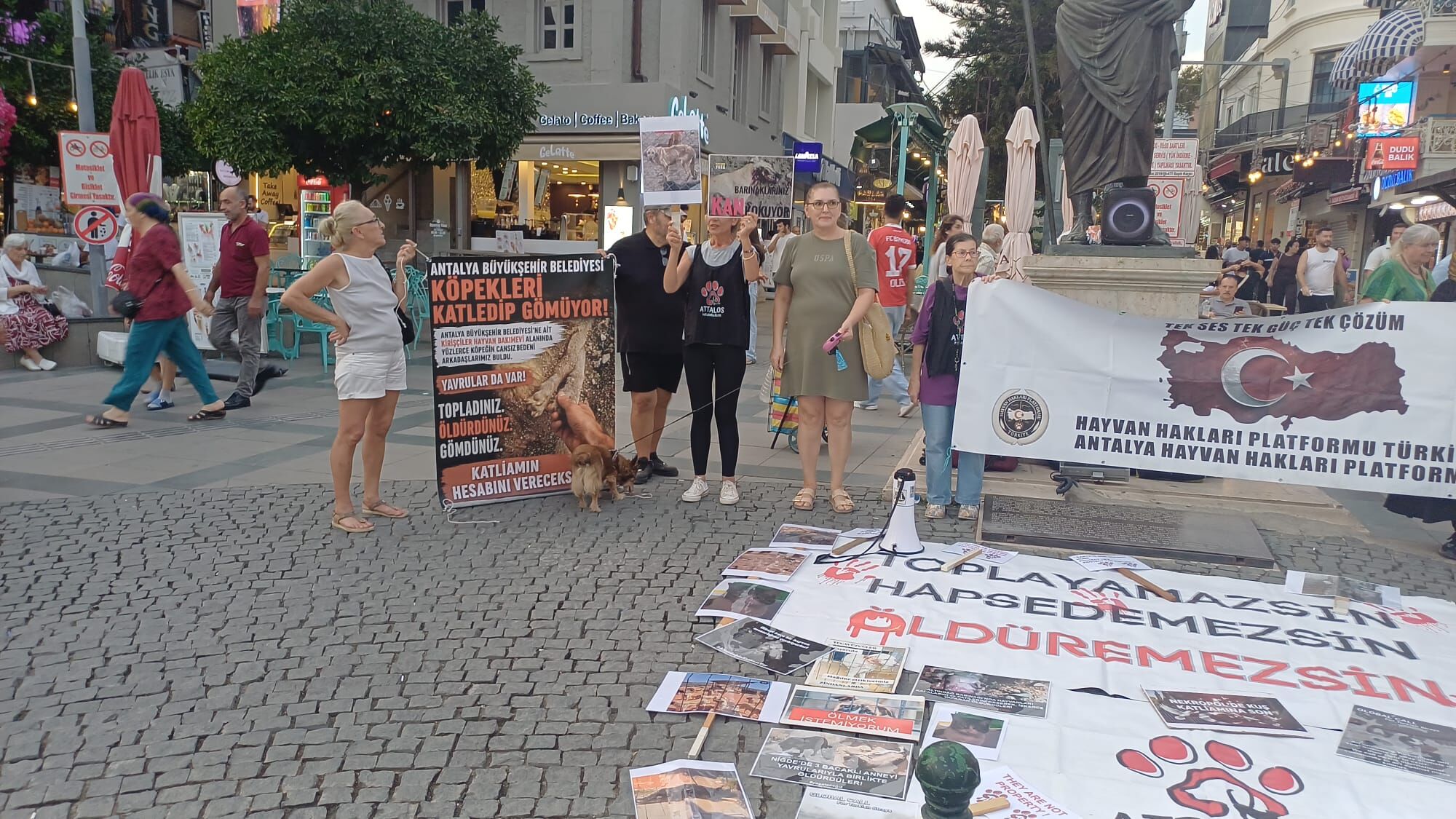 Antalya’da Kuşlar Ölüyor Yetkililer Sessizliğe Gömüldü (1)