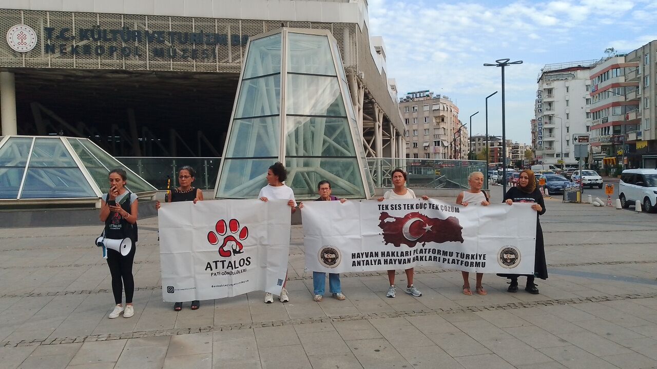 Antalya’da Kuşlar Ölüyor Yetkililer Sessizliğe Gömüldü (2)