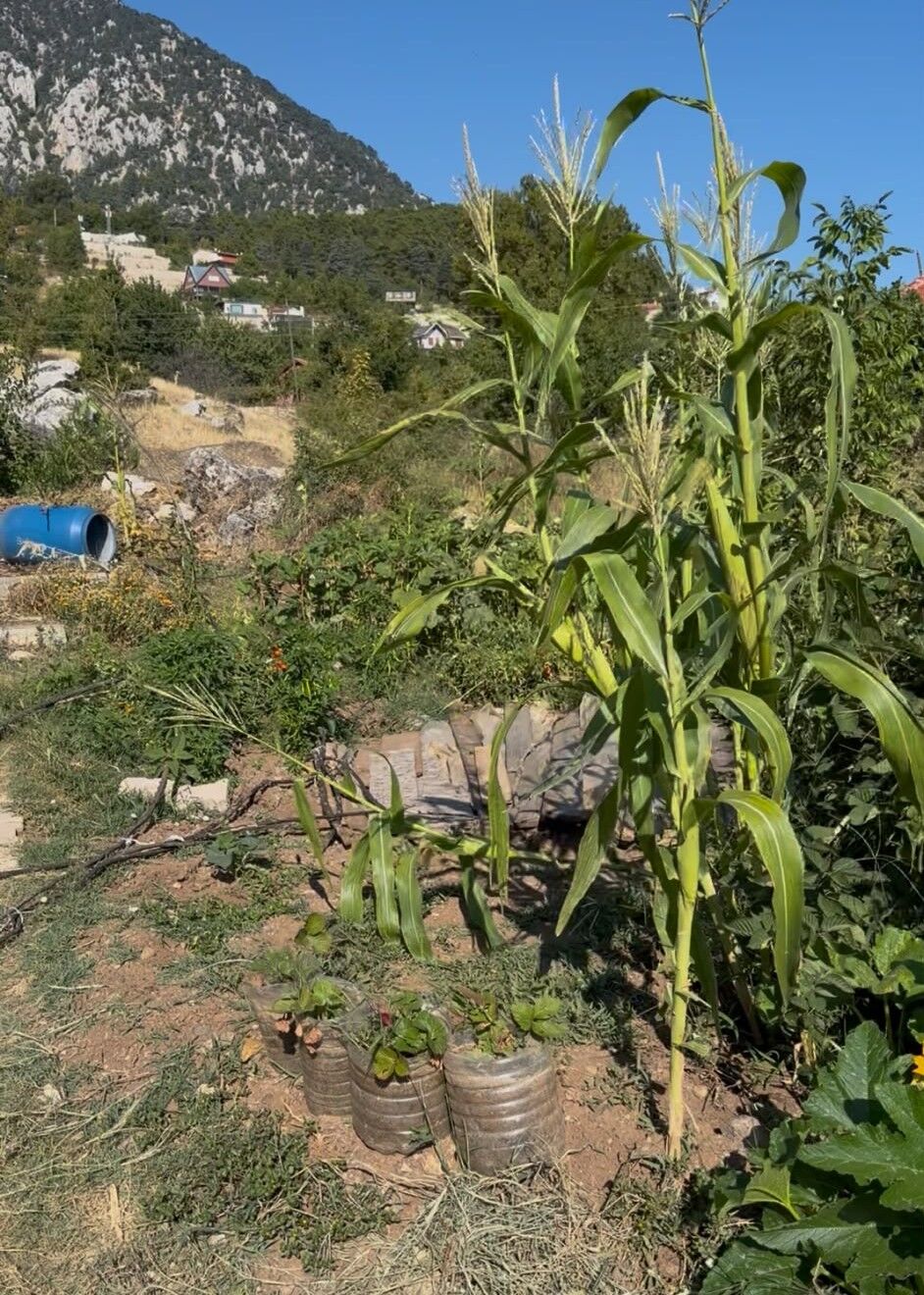 Antalya’da ‘Tescil Harici’ Alan Krizi! Gözler Milli Emlak Ve Belediyede (2)