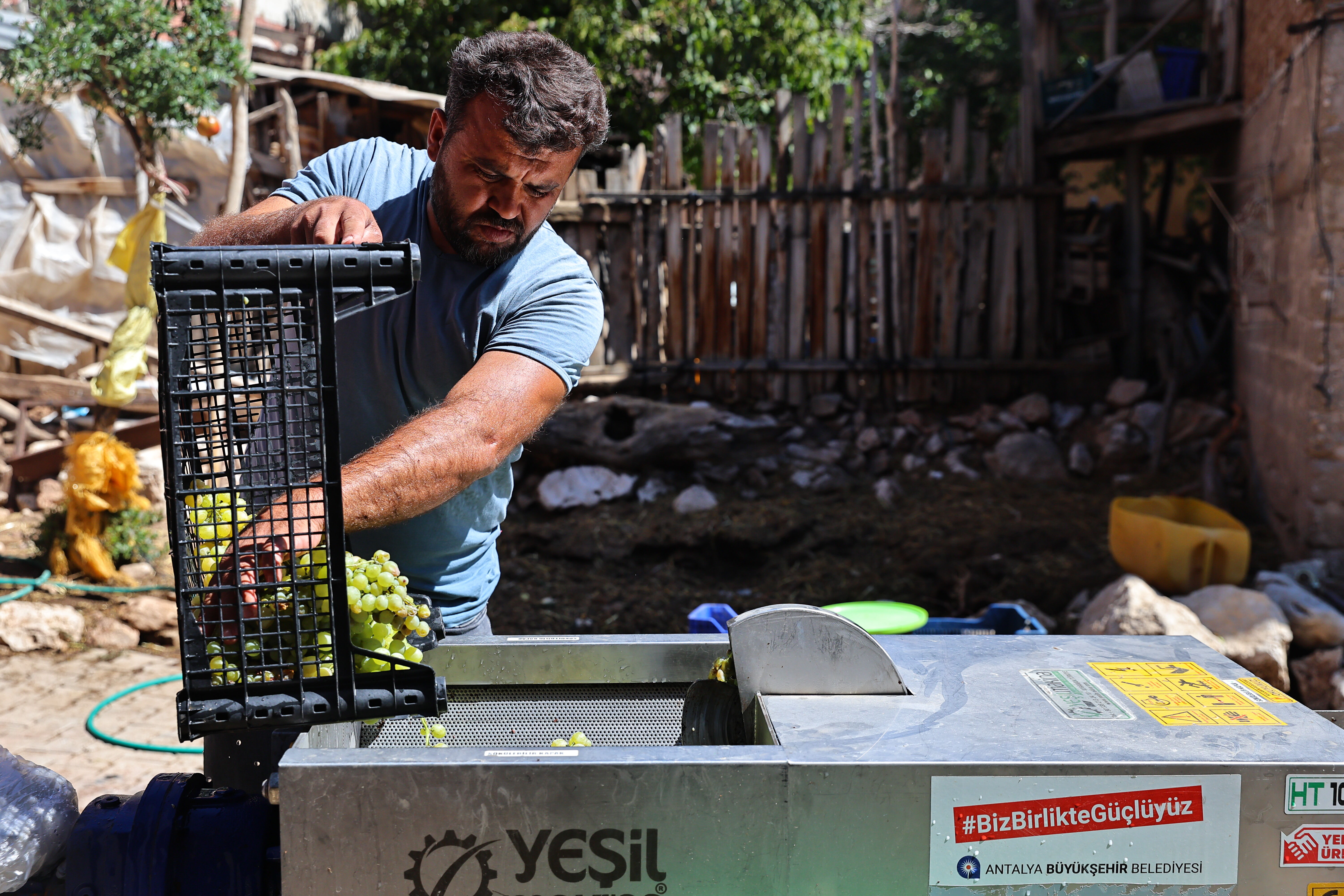 Antalya’da Üzüm Üreticisinin Imdadına Makine Yetişti (1)