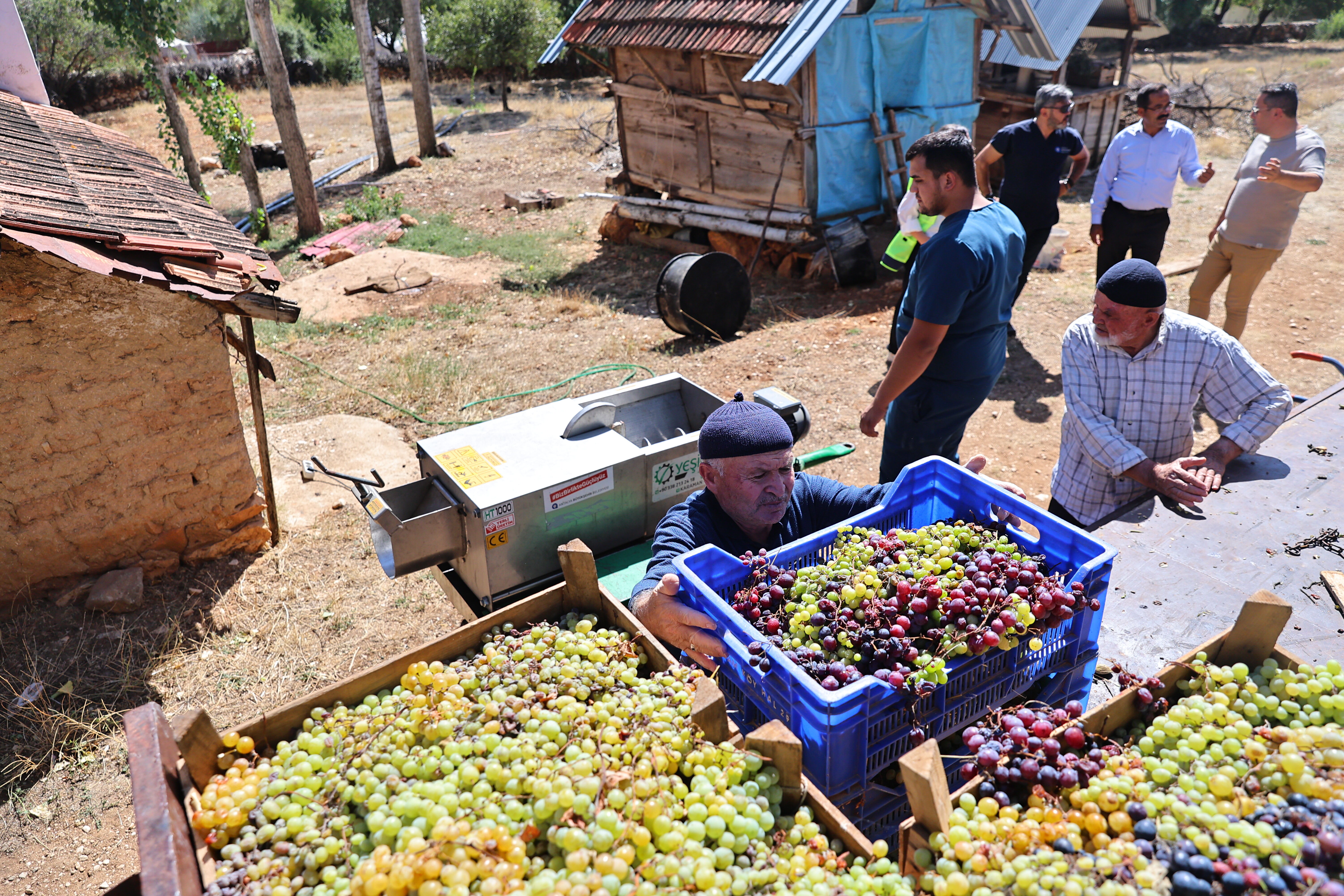 Antalya’da Üzüm Üreticisinin Imdadına Makine Yetişti (4)