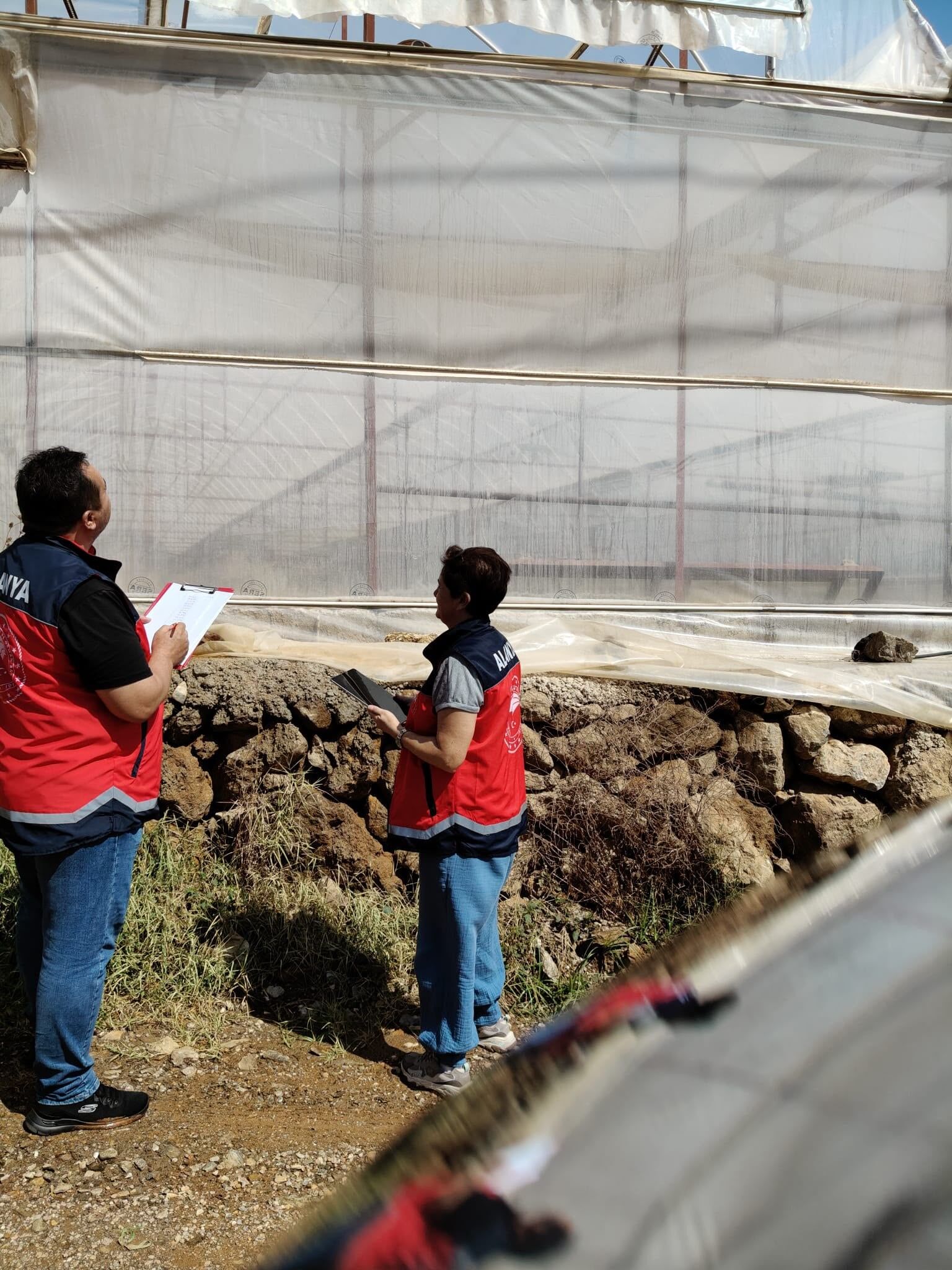 Antalya’daki 22 Bin Dekar Sera Inceleme Altına Alındı (4)