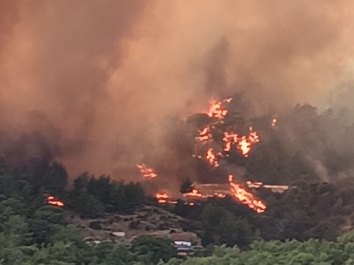 Antalya’daki Orman Yangını Soruşturmasında Bir Kişi Tutuklandı (3)