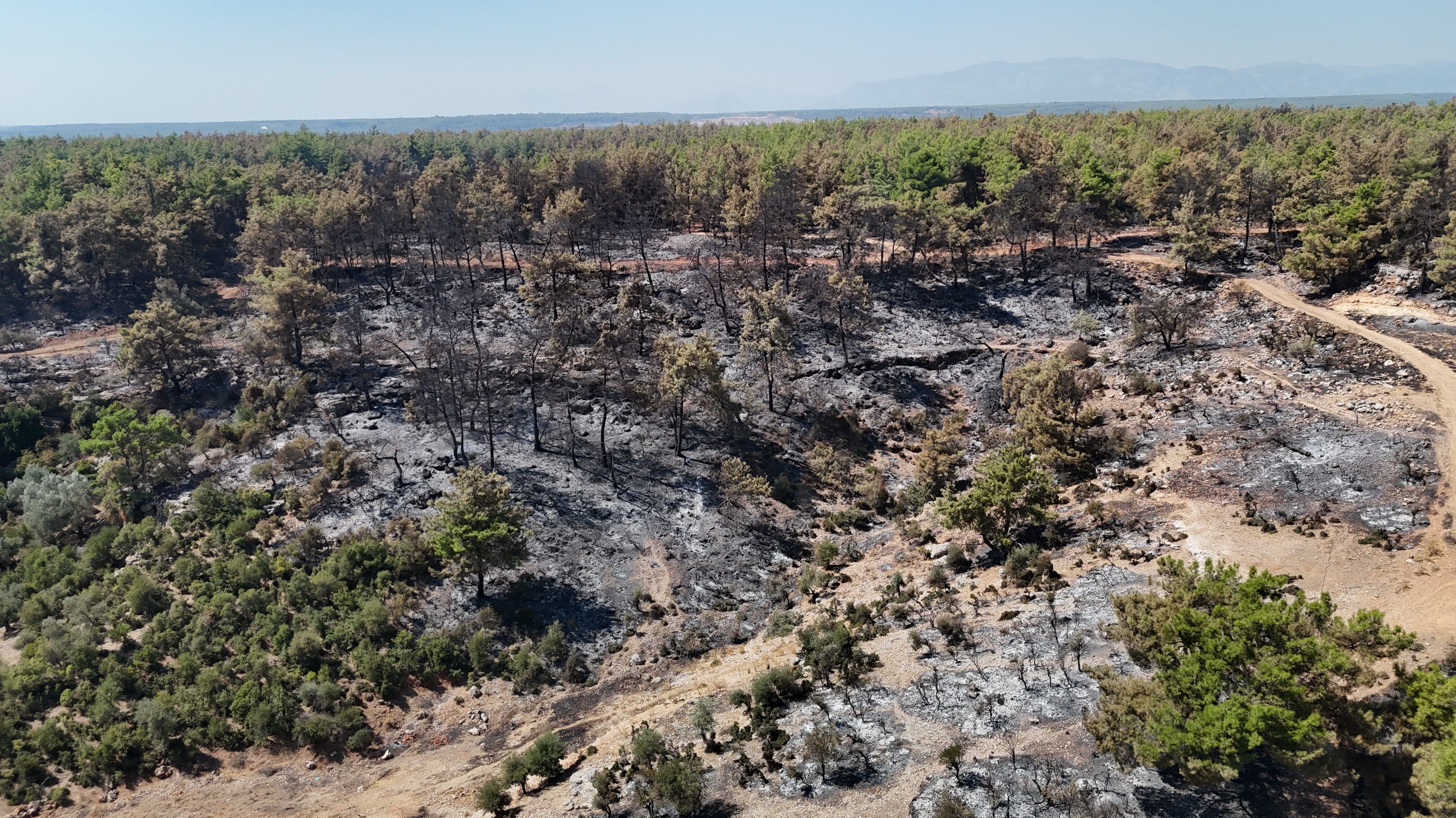 Antalya’daki Yangında Enerji Düşürüldü! Soğutma Çalışmaları Sürüyor (1)