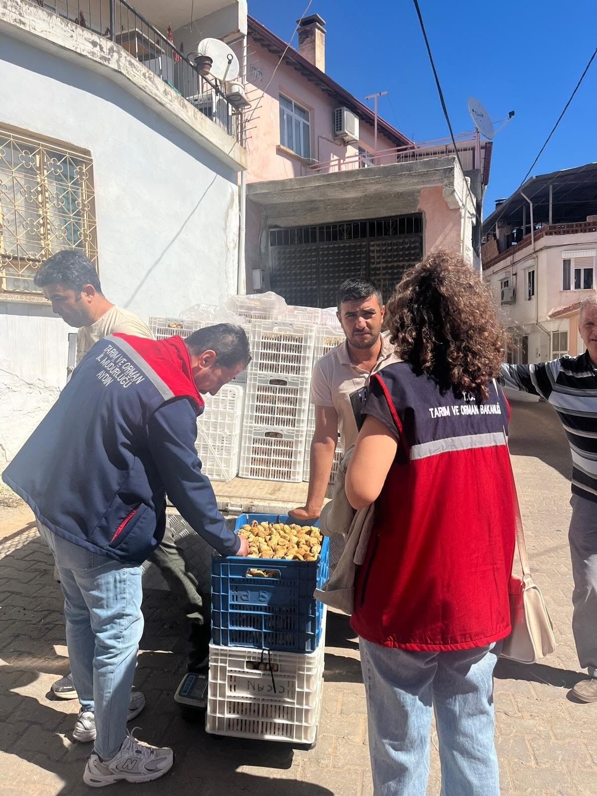Aydın Incirine Sıkı Denetim! Gözeler Hijyen Ve Kalite Kriterlerinde (2)