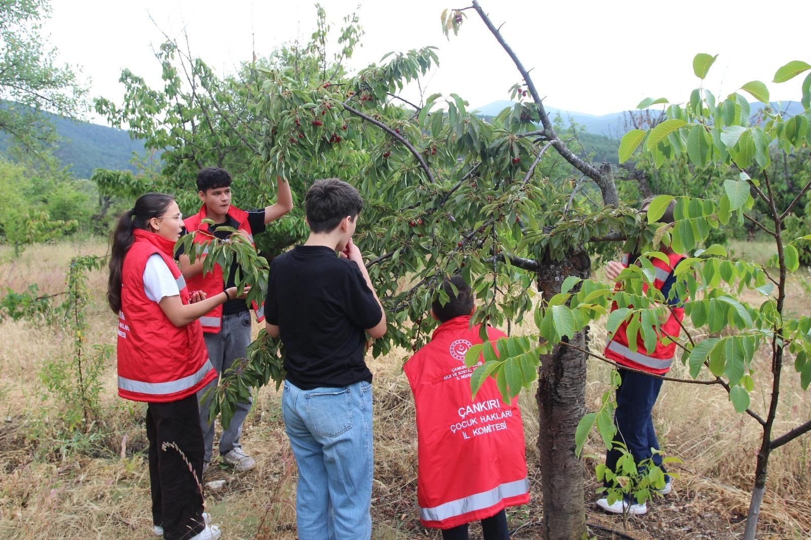 Cop31E Cocuklar Katki Sunacak (4)