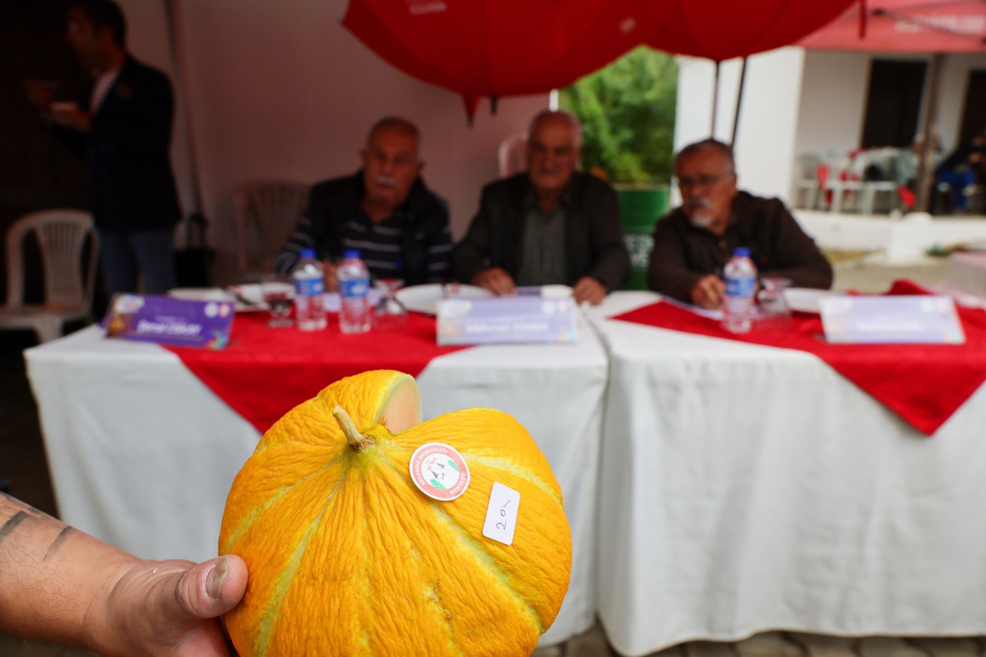 Muğla’nın En Güzel Kavunları Seçildi (2)