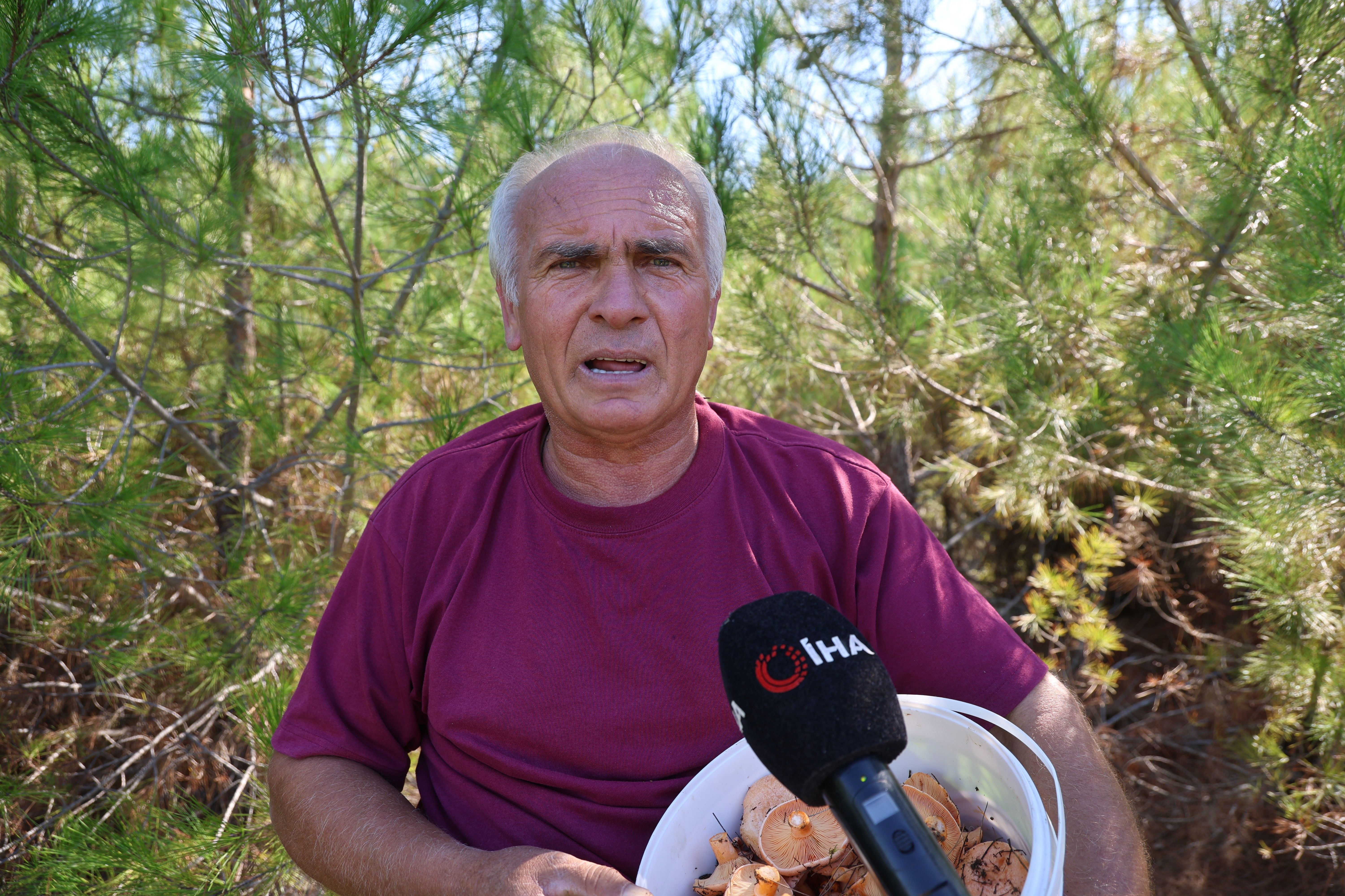 Adana’da Mantar Bereketi! Kilosu 300 Liraya Ulaştı (2)