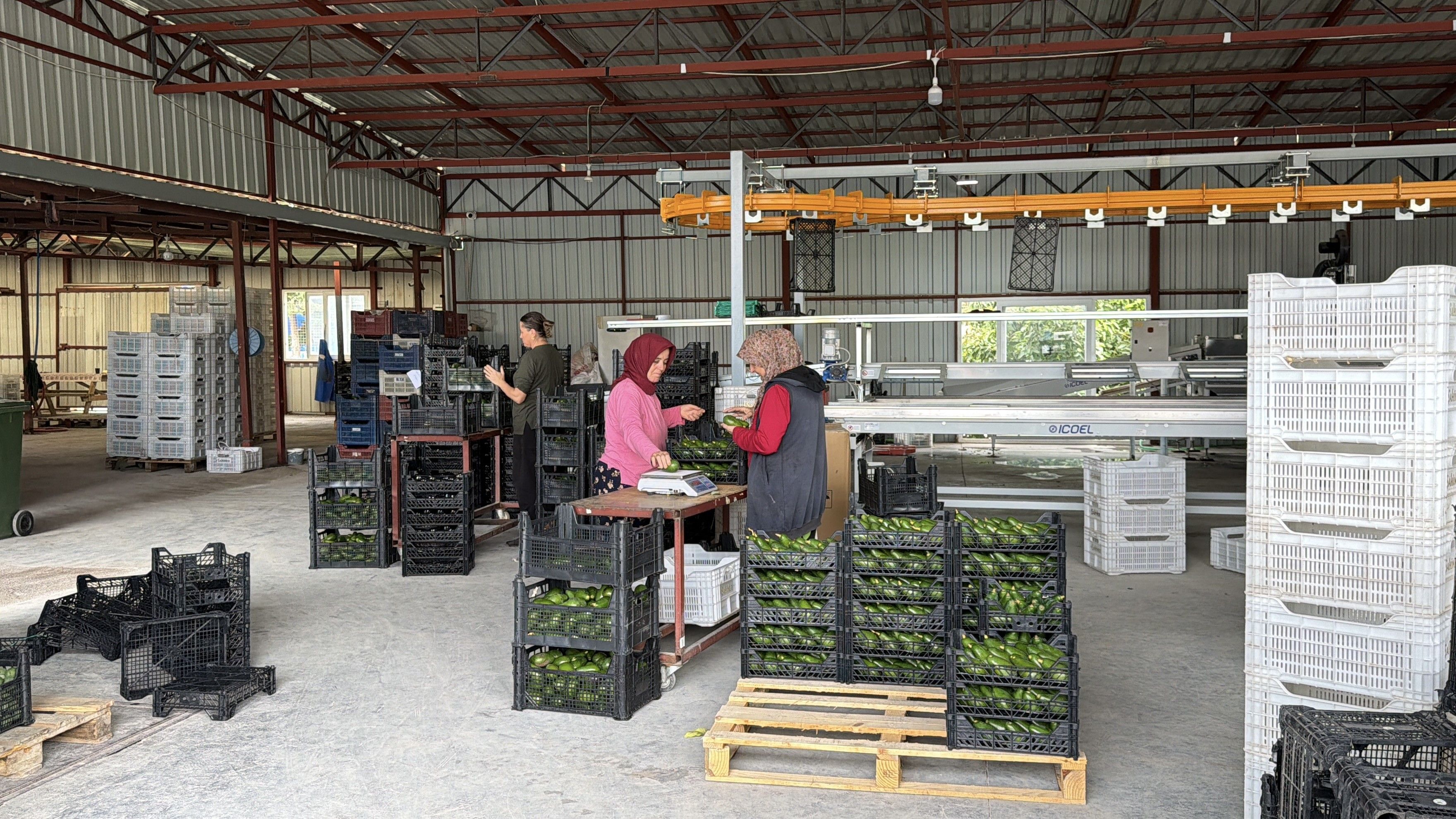 Antalya Üreticileri Yurtdışına Açılıyor (2)