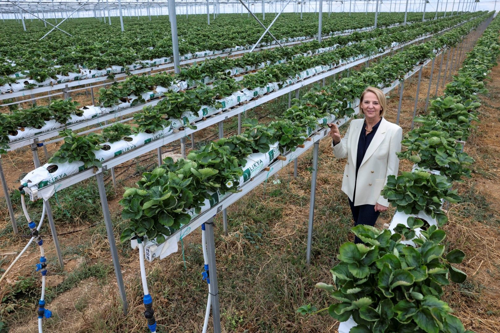 Antalya’da 280 Bin Metrekarelik Alanda Büyük Hedef (1)