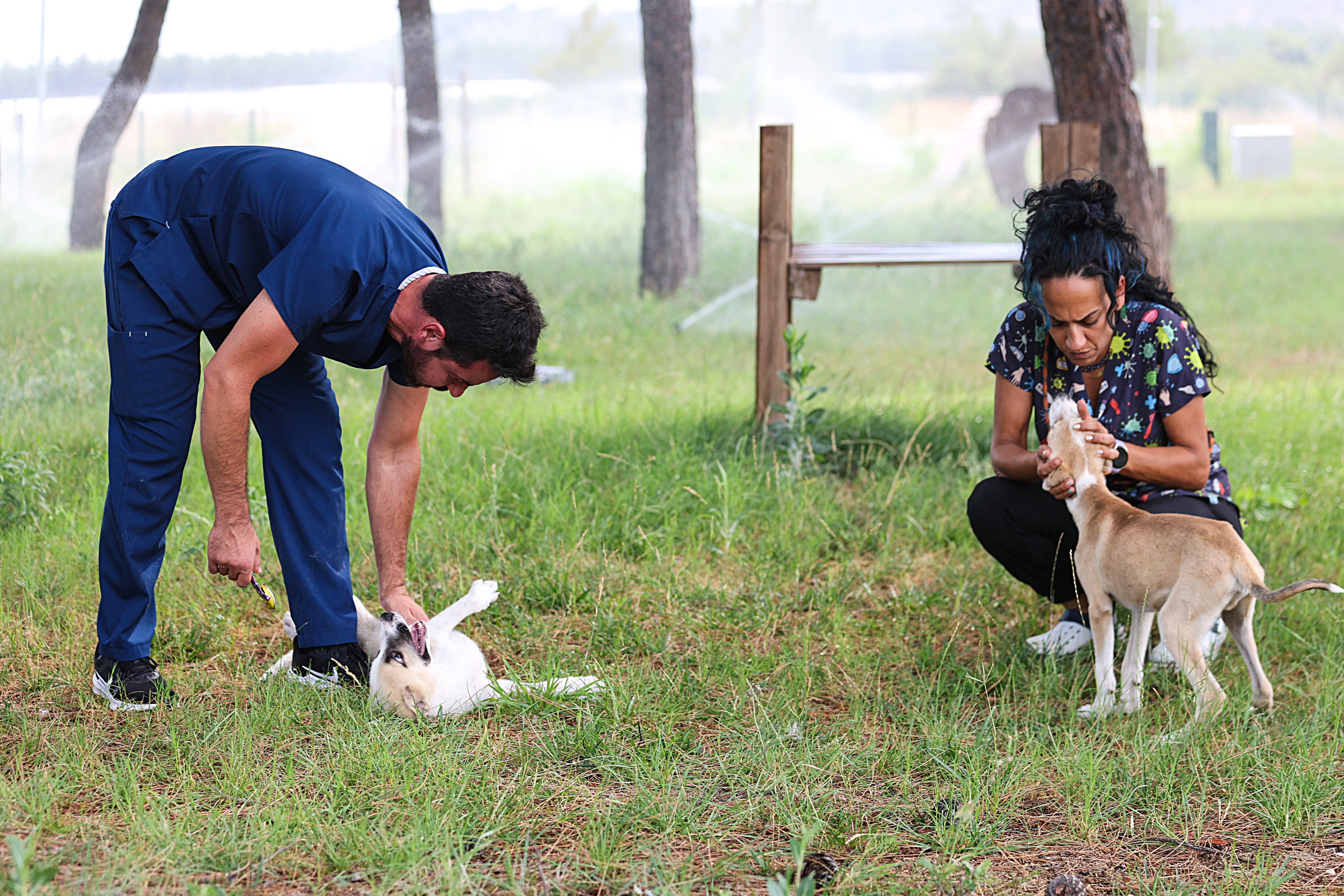Antalya’da 5 Bin Köpeğe Yuva Olan Merkez (1)