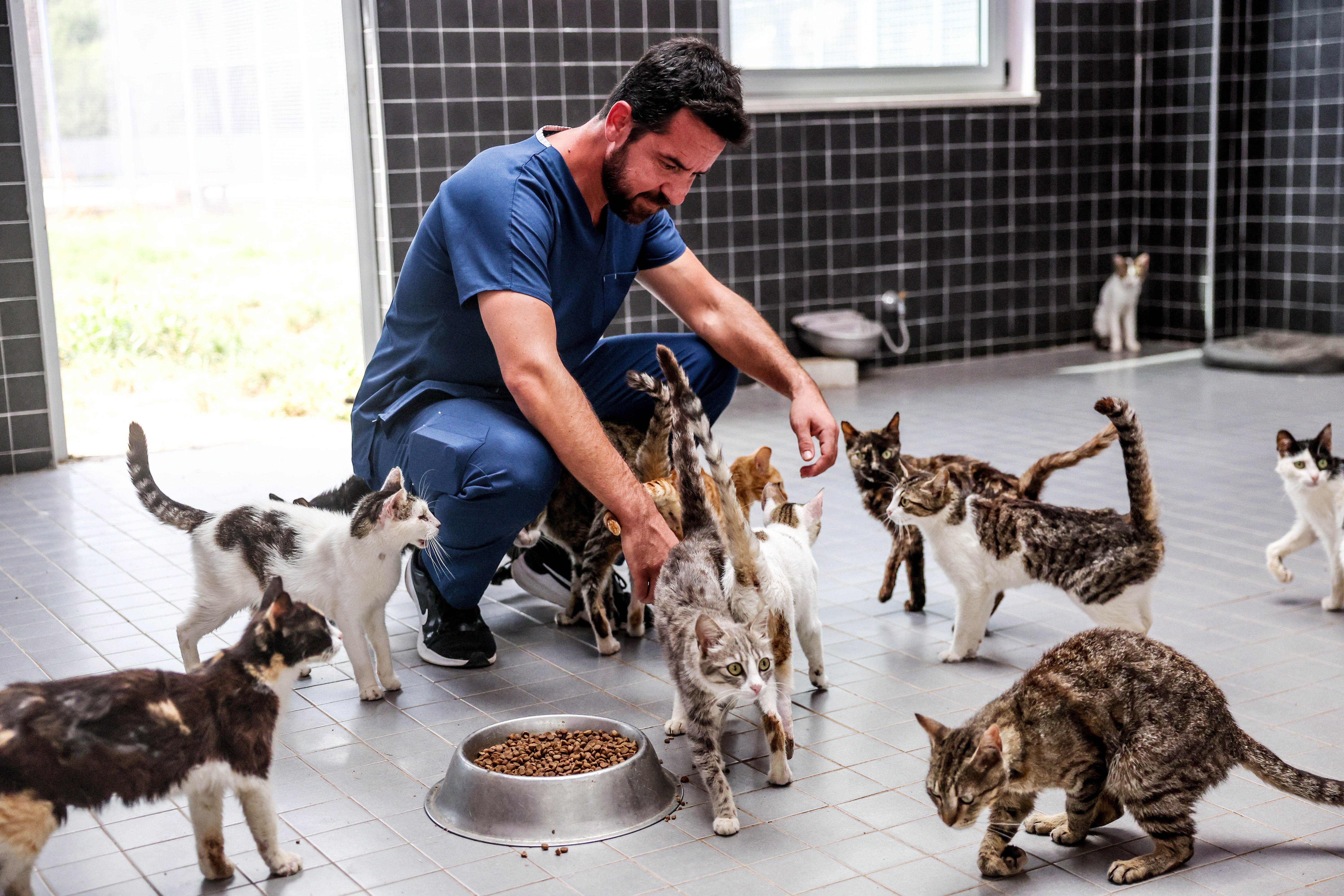 Antalya’da 5 Bin Köpeğe Yuva Olan Merkez (9)