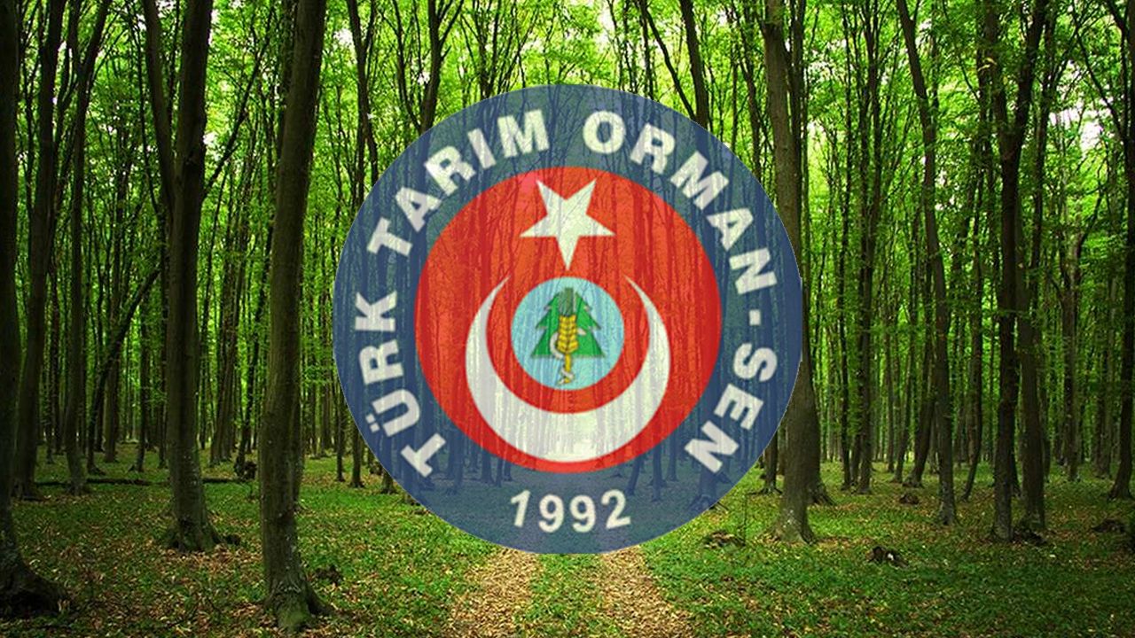 Antalyada Cop31 Nedeniyle Yillik Izinler Iptal Edildi Sendika Harekete Gecti (2)-1
