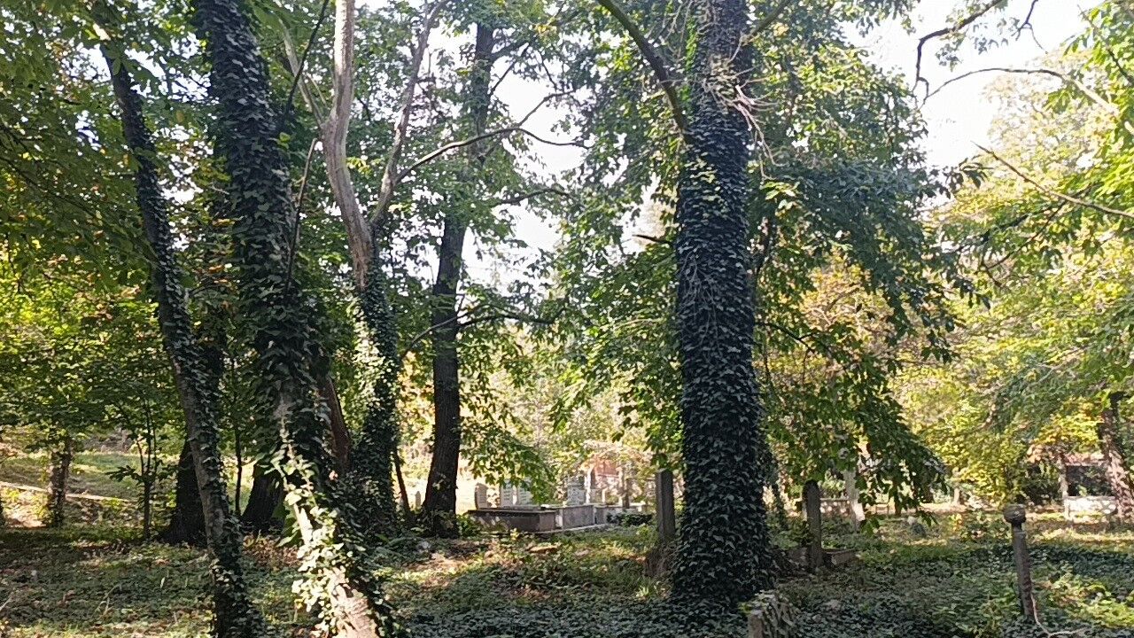 Antalya’da Mezarlık Zehir Tehdidi Altında (4)