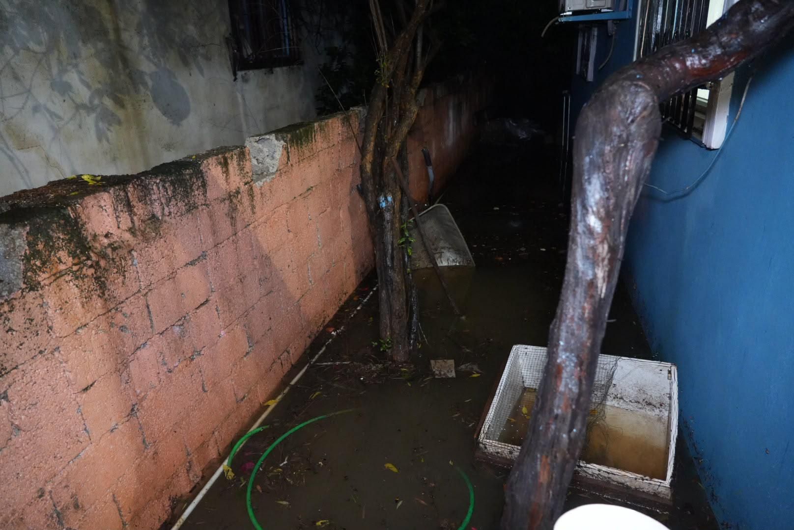 Antalya’dan 3 Günde 70 Ihbar Geldi! Ekipler Yardıma Koştu (6)