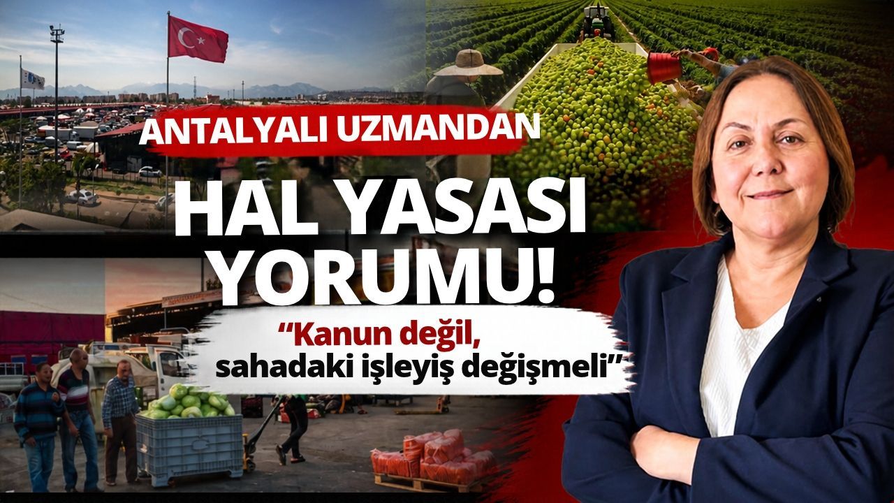 Antalyalı uzmandan Hal Yasası yorumu! Kanun değil, sahadaki işleyiş değişmeli