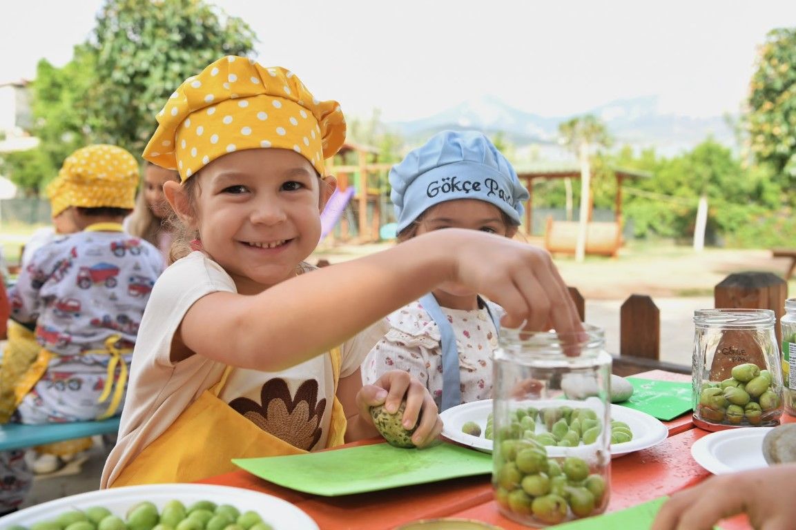 Antalya’nın Minikleri Zeytinleri Topladı (2)