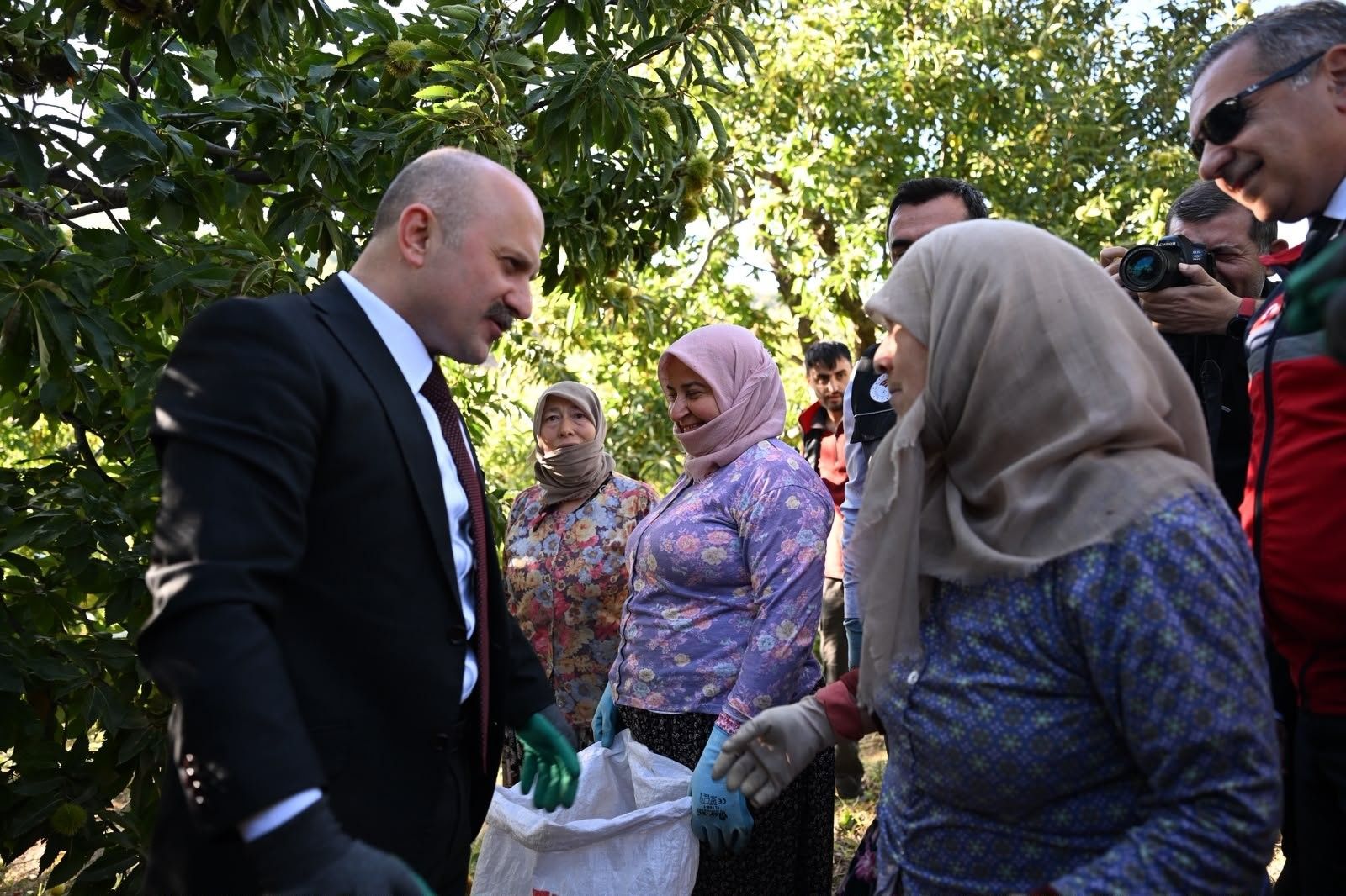 Aydın'da 5 Bin 629 Kestane Üreticisi Hasat Heyecanı Yaşıyor (1)