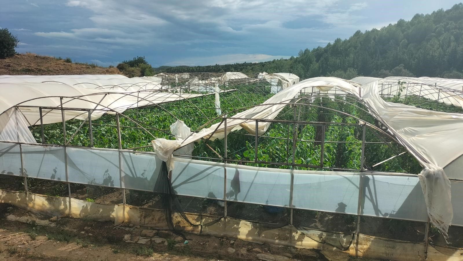 Hortum Manavgat’ı Yerle Bir Etti (6)