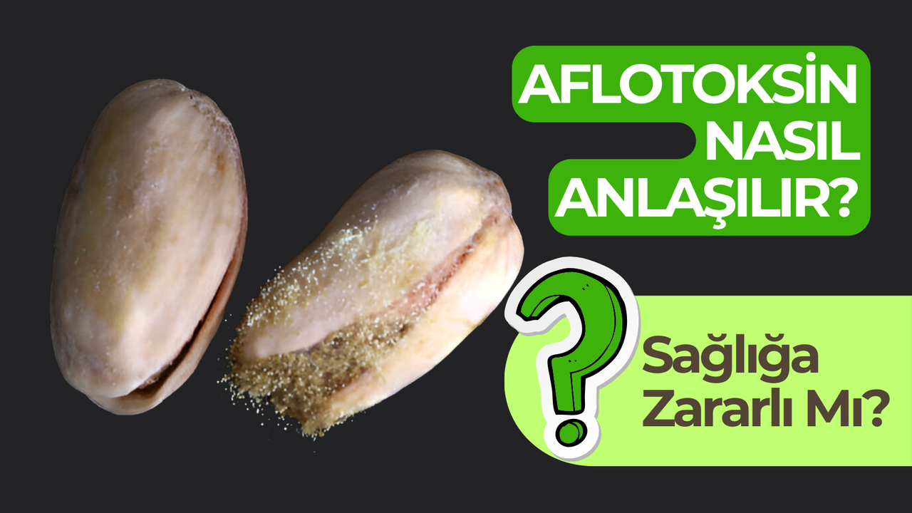 Fıstıkta Aflotoksin Nasıl Anlaşılır? Dubai Çikolatasındaki Tehlike!