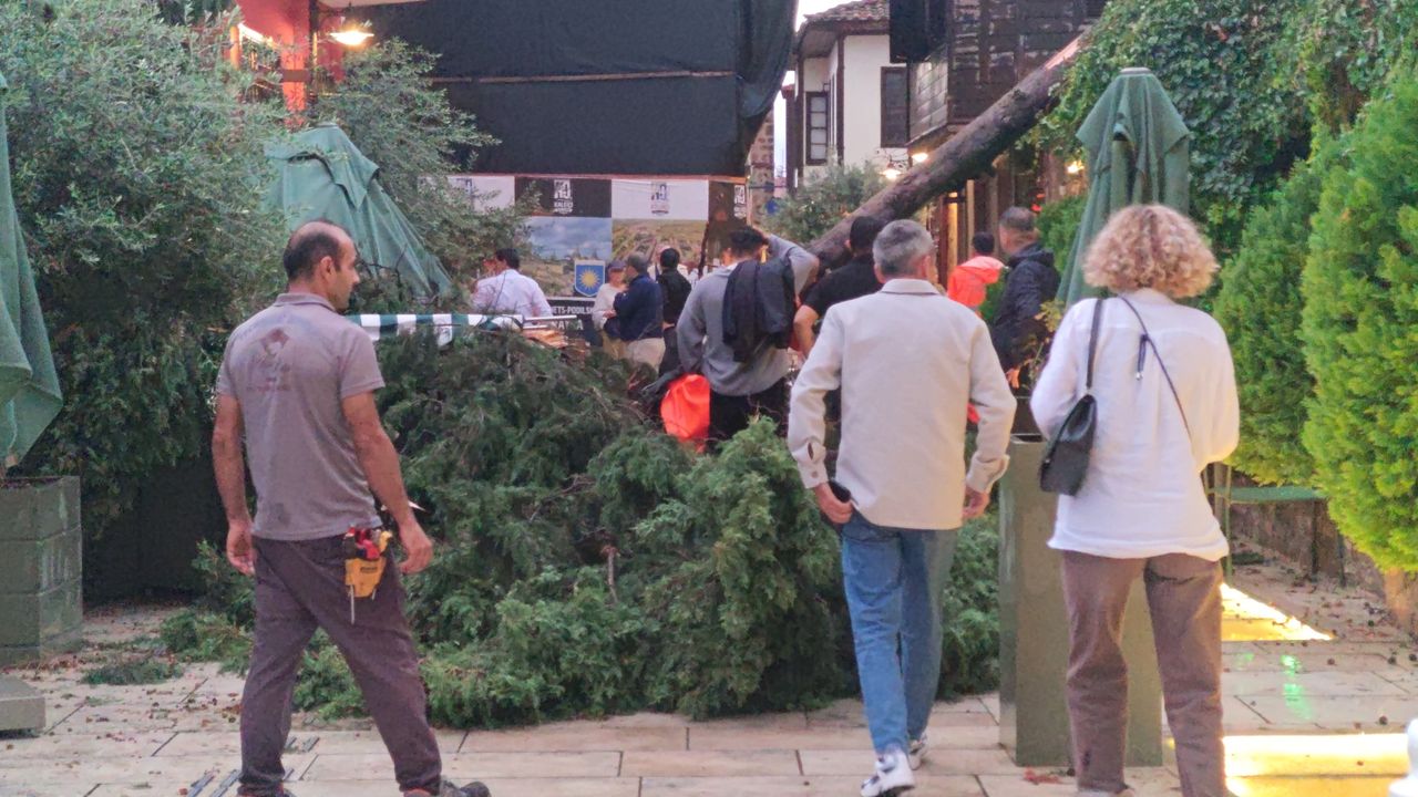 Antalya'da fırtına paniği: 3 kişi devrilen ağacın altında kaldı