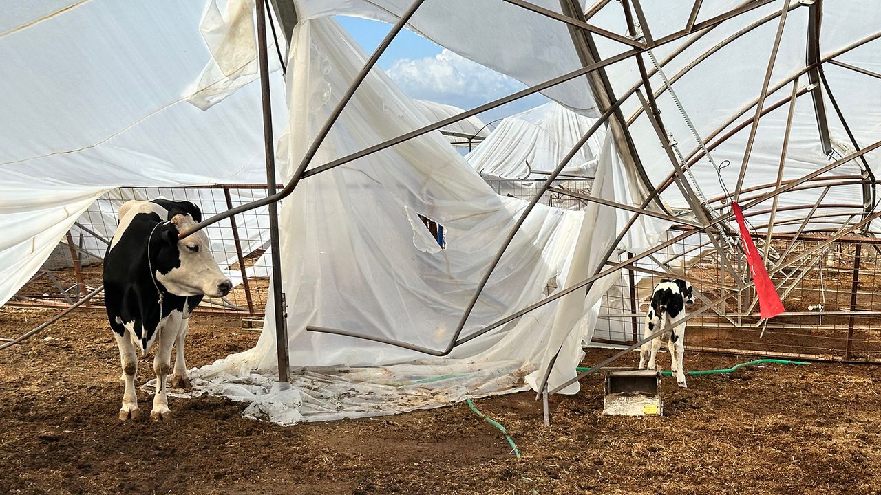 Büyükşehir yağış ve fırtınadan zarar gören üreticinin yanında
