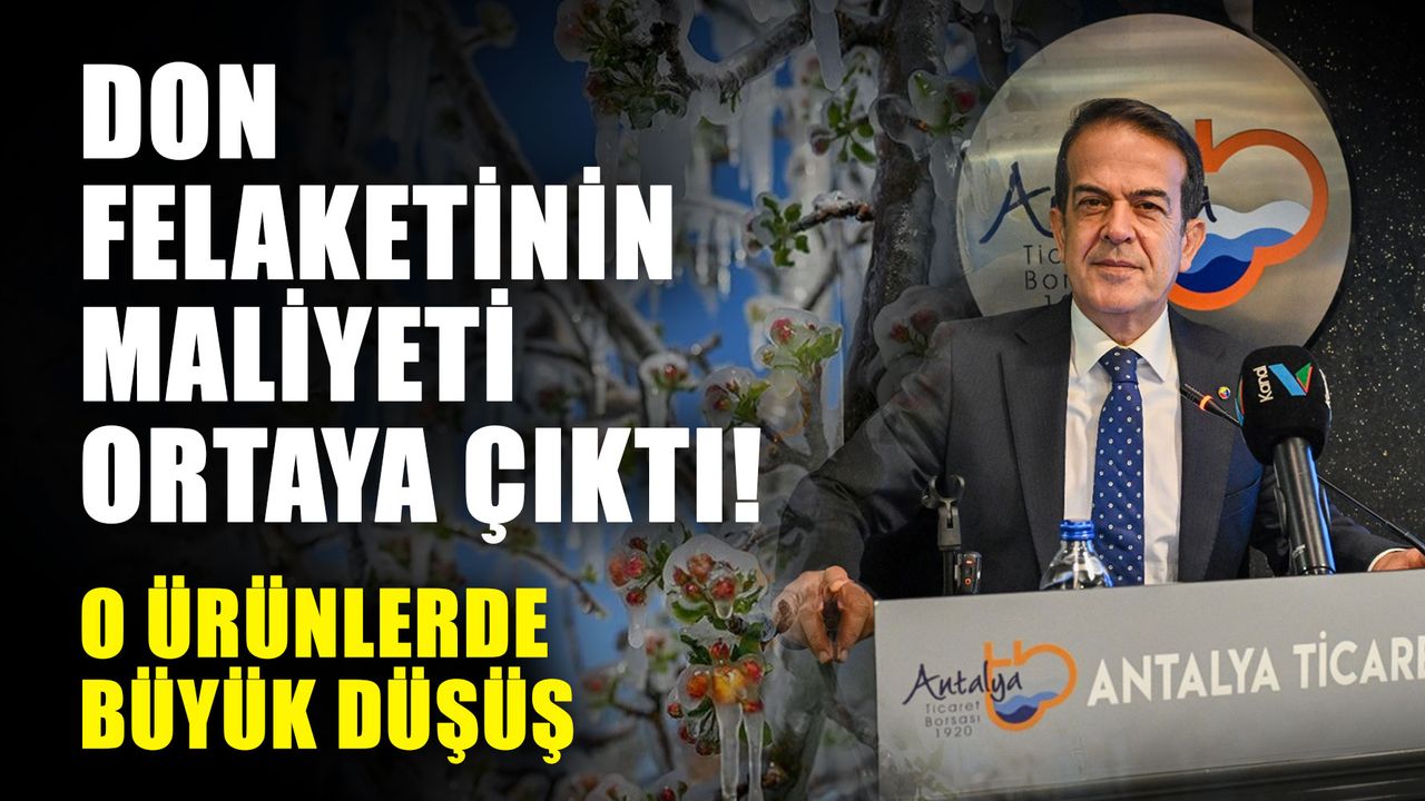 Don felaketinin maliyeti ortaya çıktı! O ürünlerde büyük düşüş